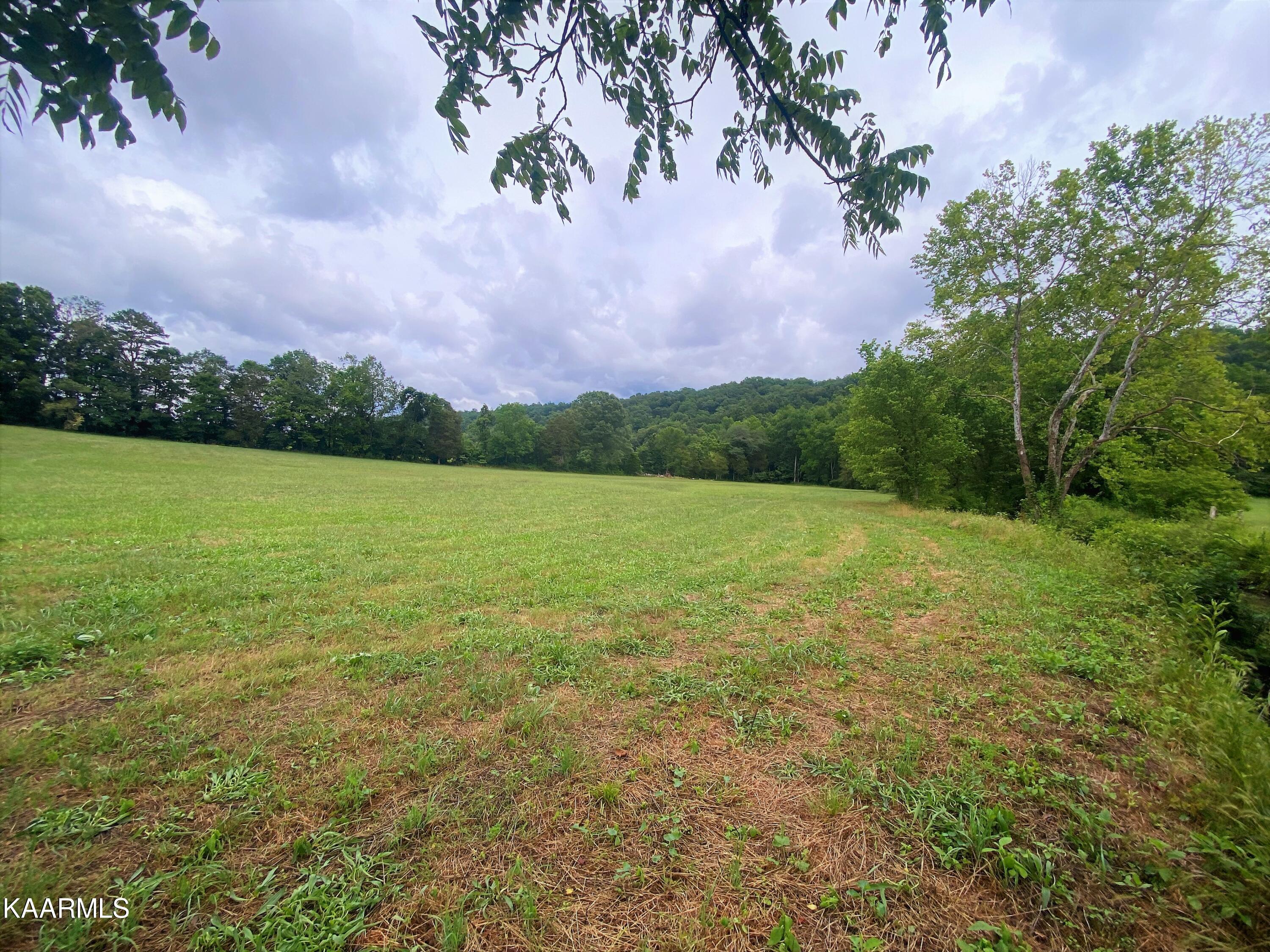 601 Paint Rock Valley Road Philadelphia, TN 37846 - Photo 15 of 43 IMG_0334