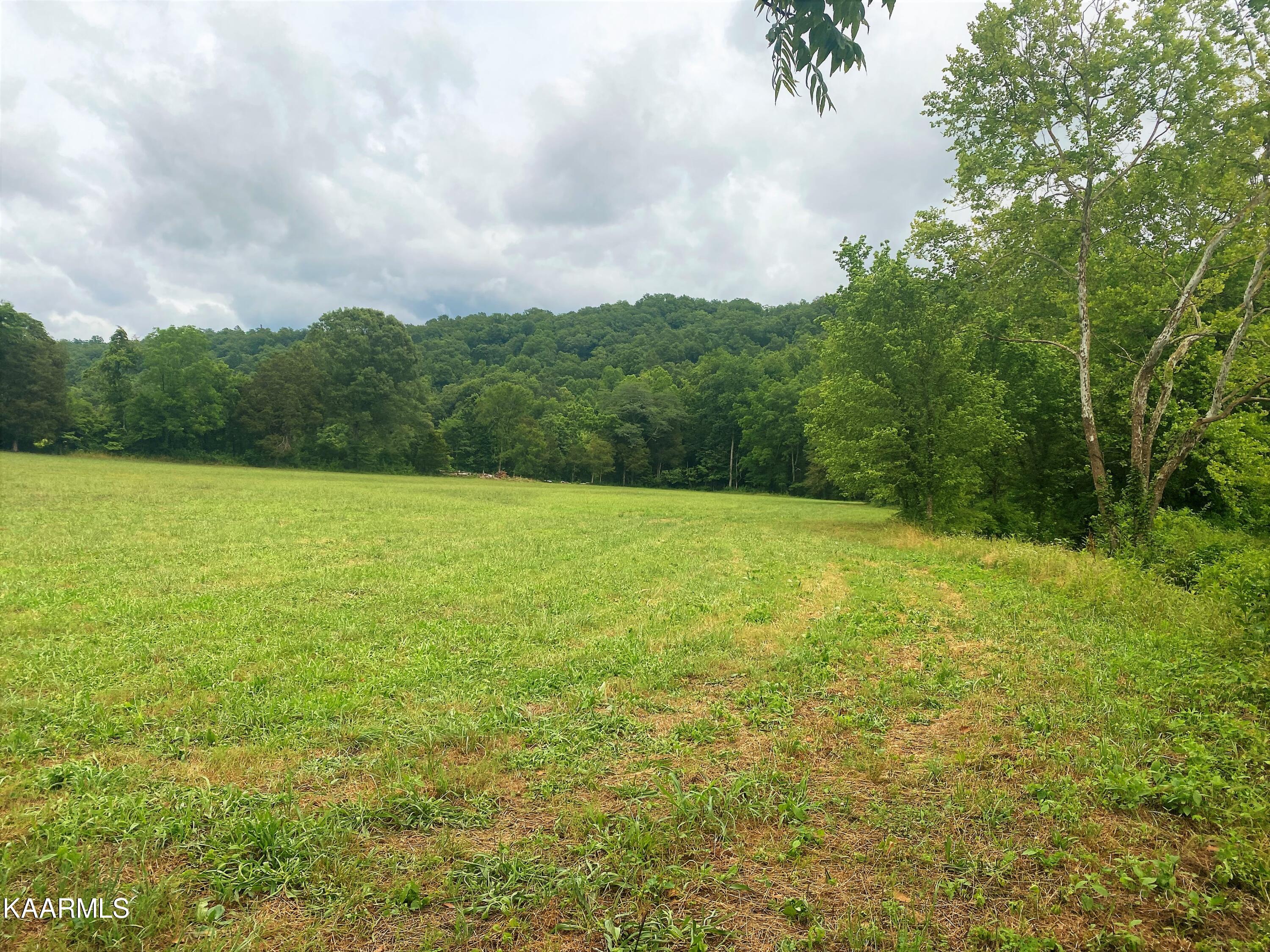601 Paint Rock Valley Road Philadelphia, TN 37846 - Photo 18 of 43 IMG_0339