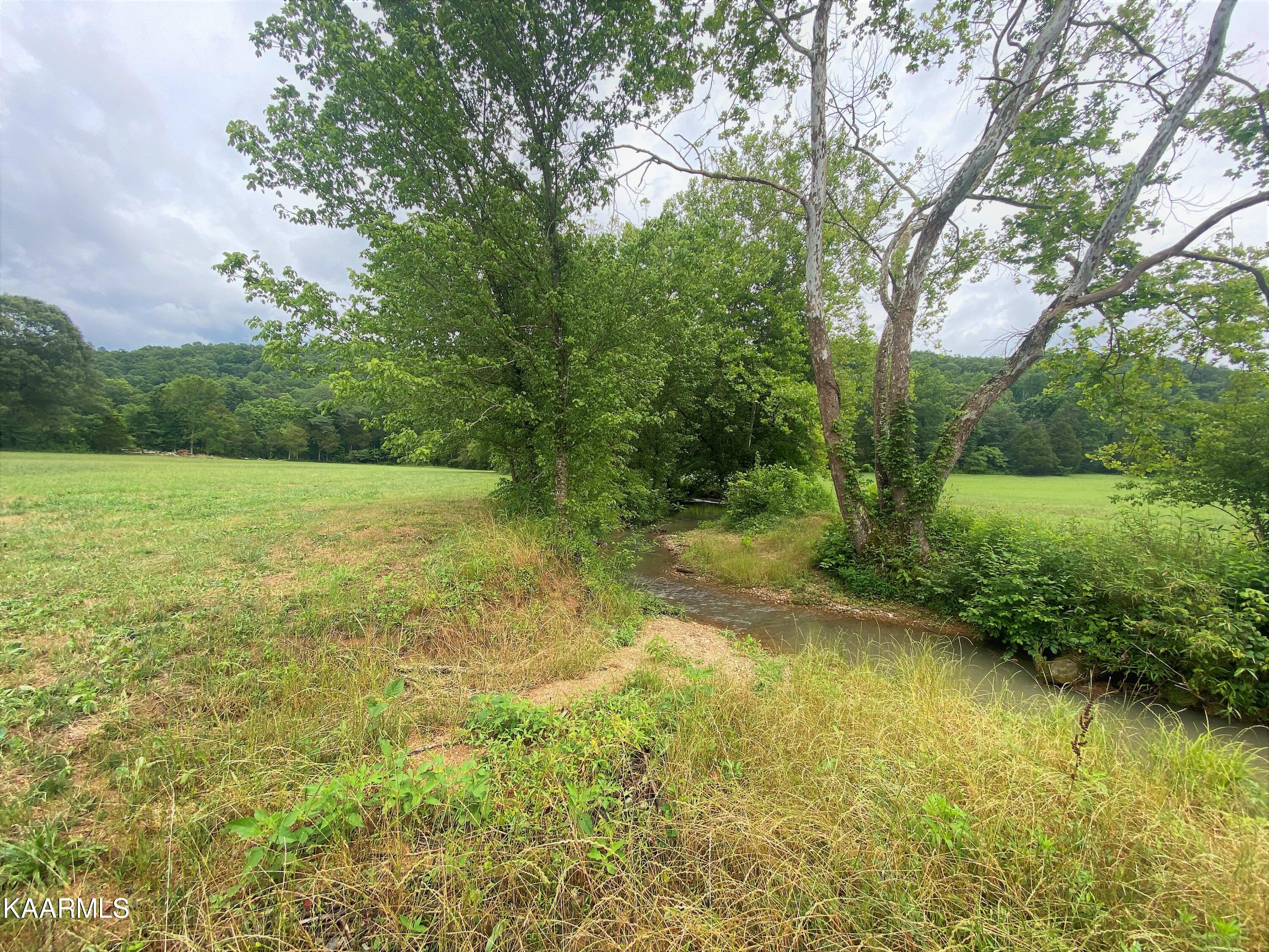 601 Paint Rock Valley Road Philadelphia, TN 37846 - Photo 19 of 43 IMG_0340