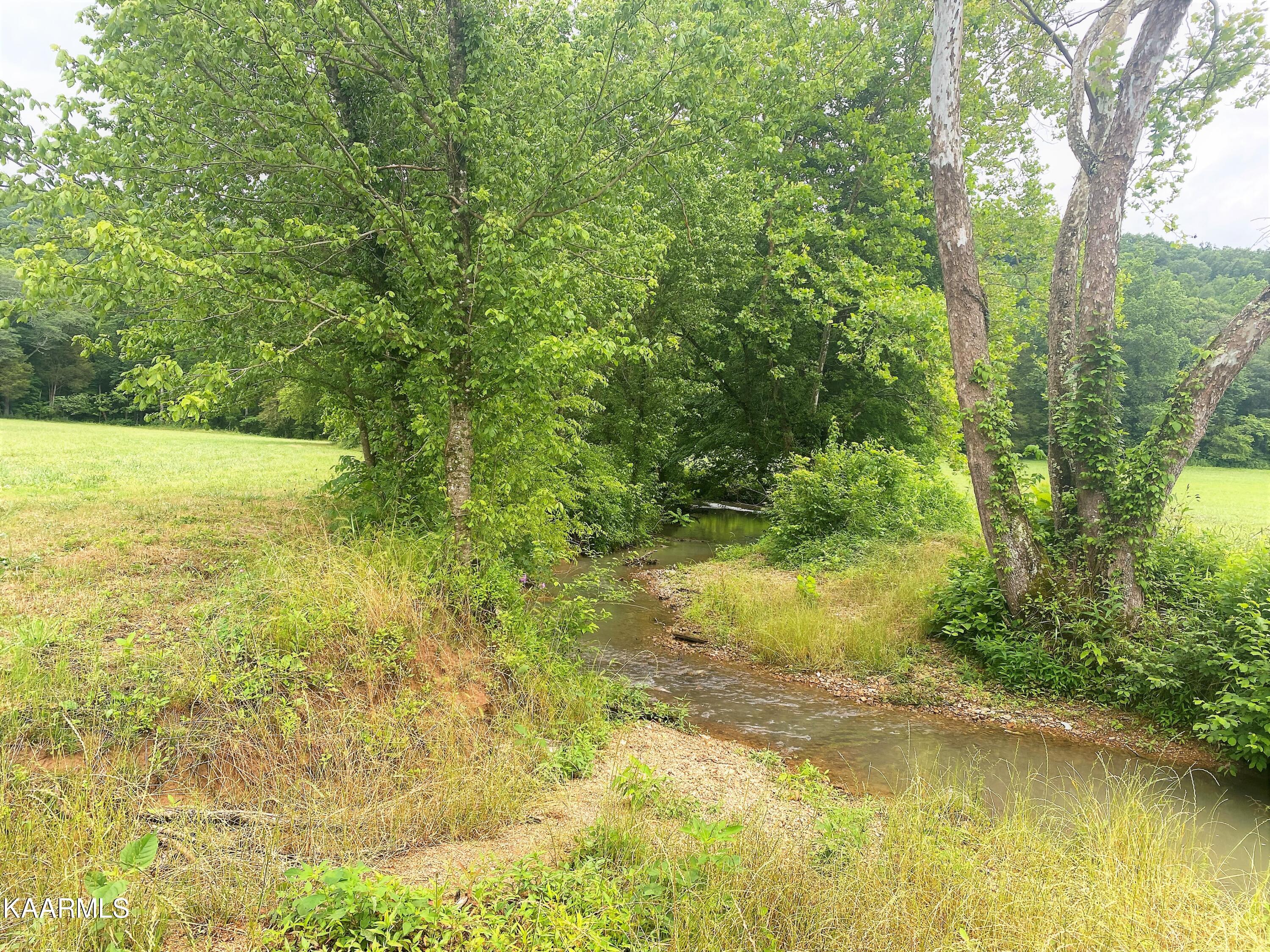601 Paint Rock Valley Road Philadelphia, TN 37846 - Photo 20 of 43 IMG_0341