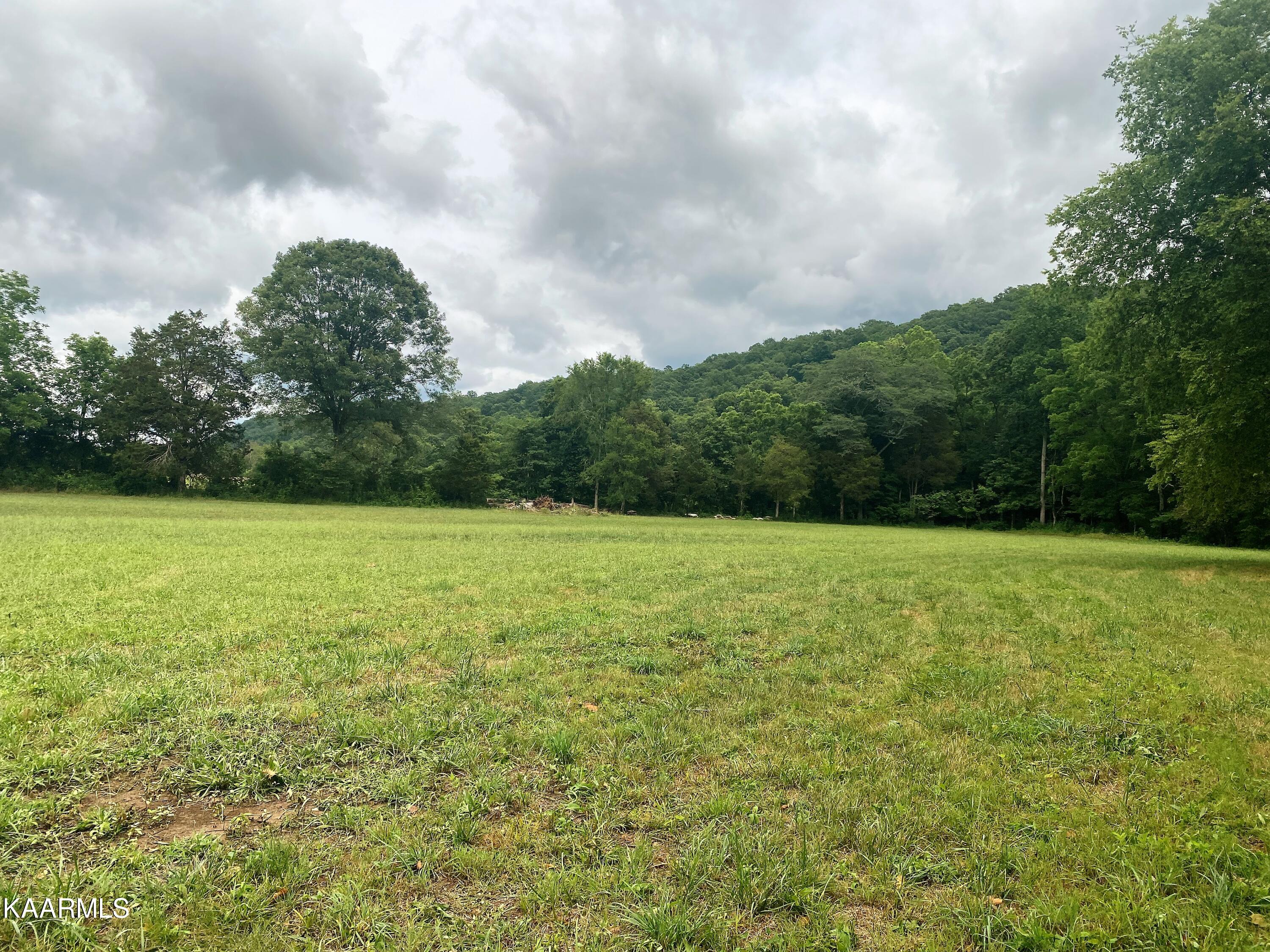 601 Paint Rock Valley Road Philadelphia, TN 37846 - Photo 21 of 43 IMG_0342