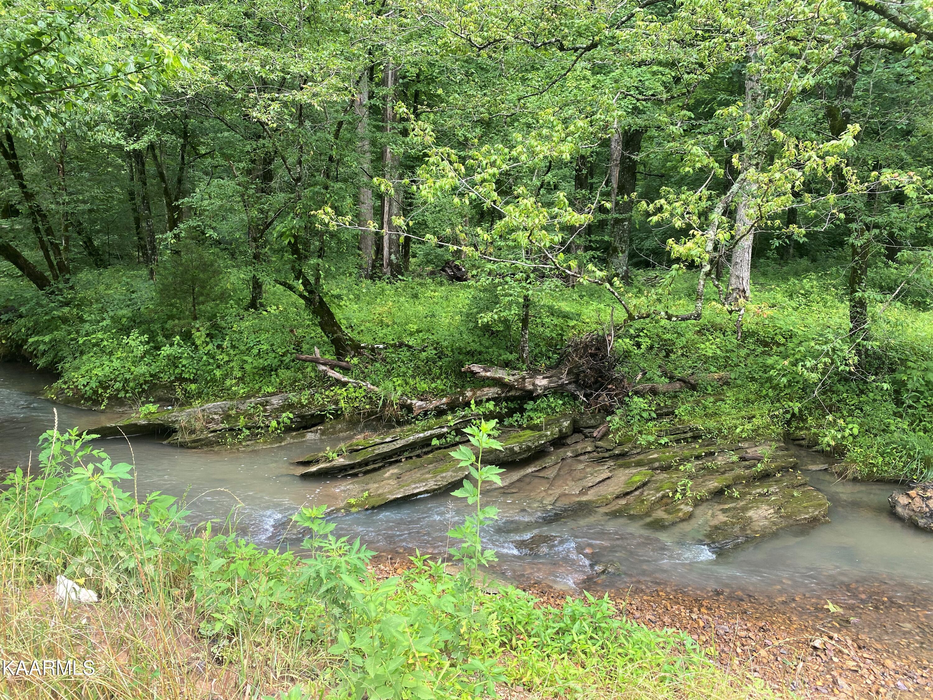 601 Paint Rock Valley Road Philadelphia, TN 37846 - Photo 26 of 43 IMG_0347