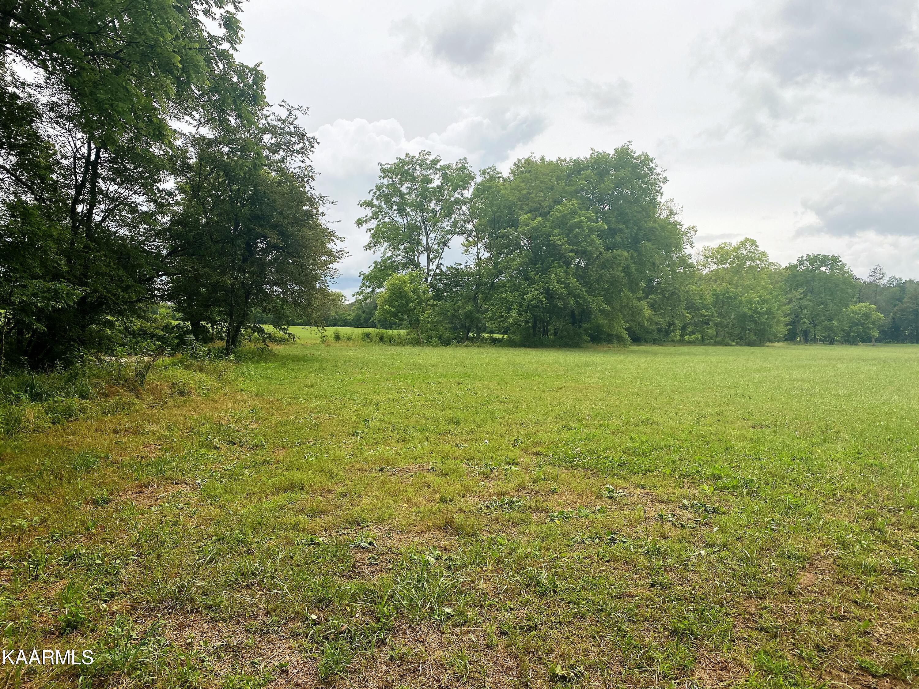 601 Paint Rock Valley Road Philadelphia, TN 37846 - Photo 30 of 43 IMG_0354