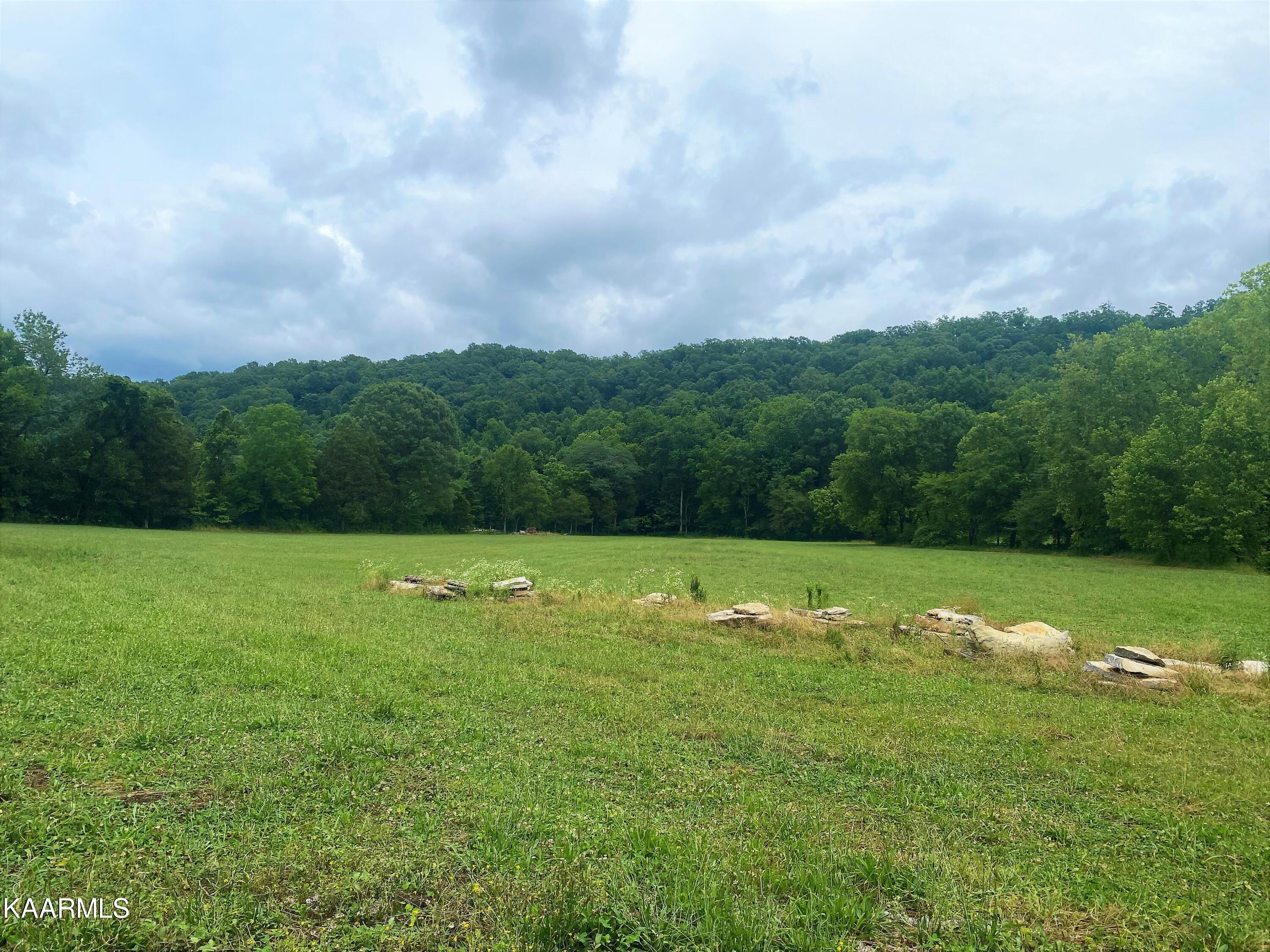 601 Paint Rock Valley Road Philadelphia, TN 37846 - Photo 3 of 43 IMG_0329