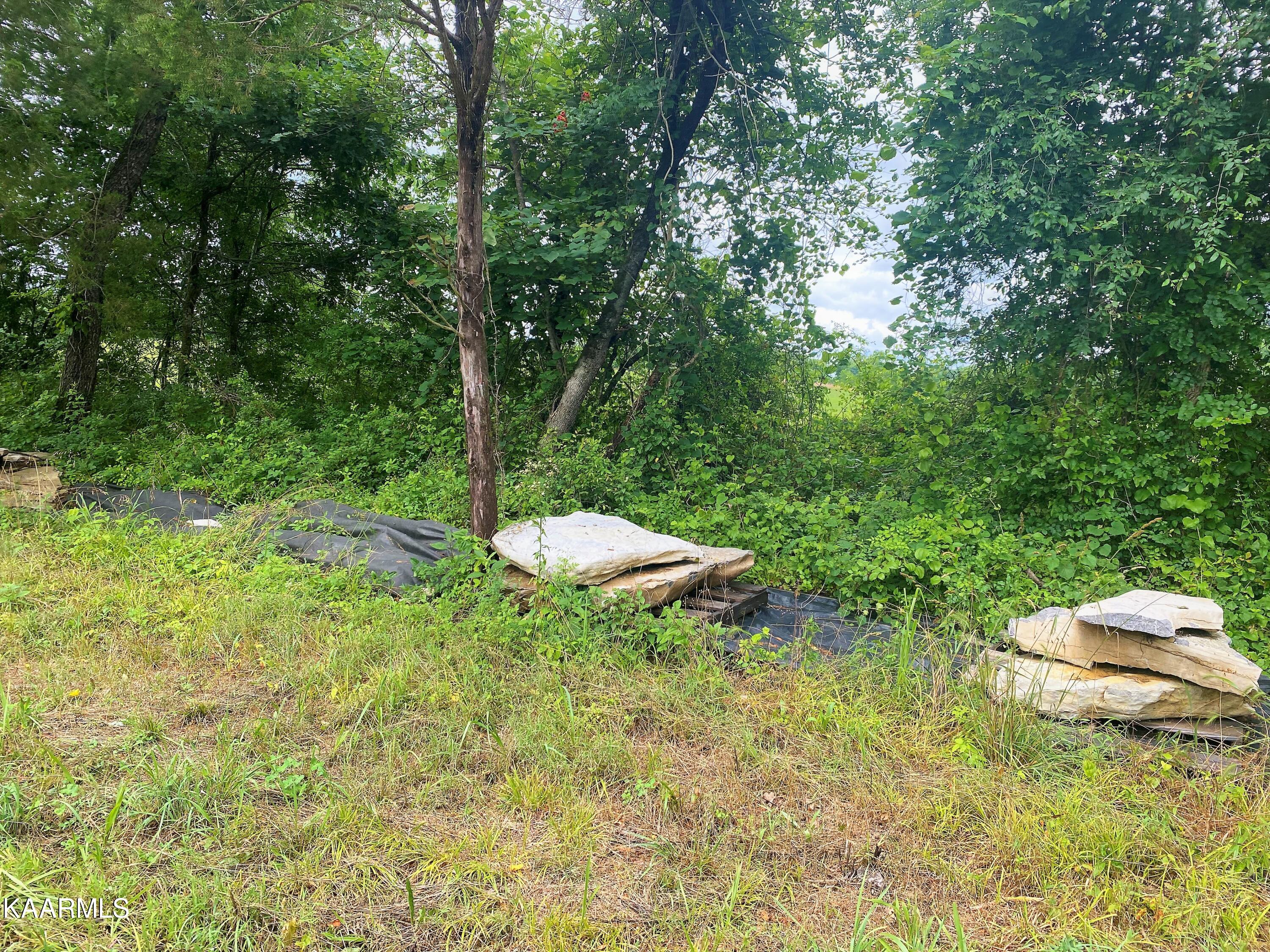 601 Paint Rock Valley Road Philadelphia, TN 37846 - Photo 32 of 43 IMG_0357