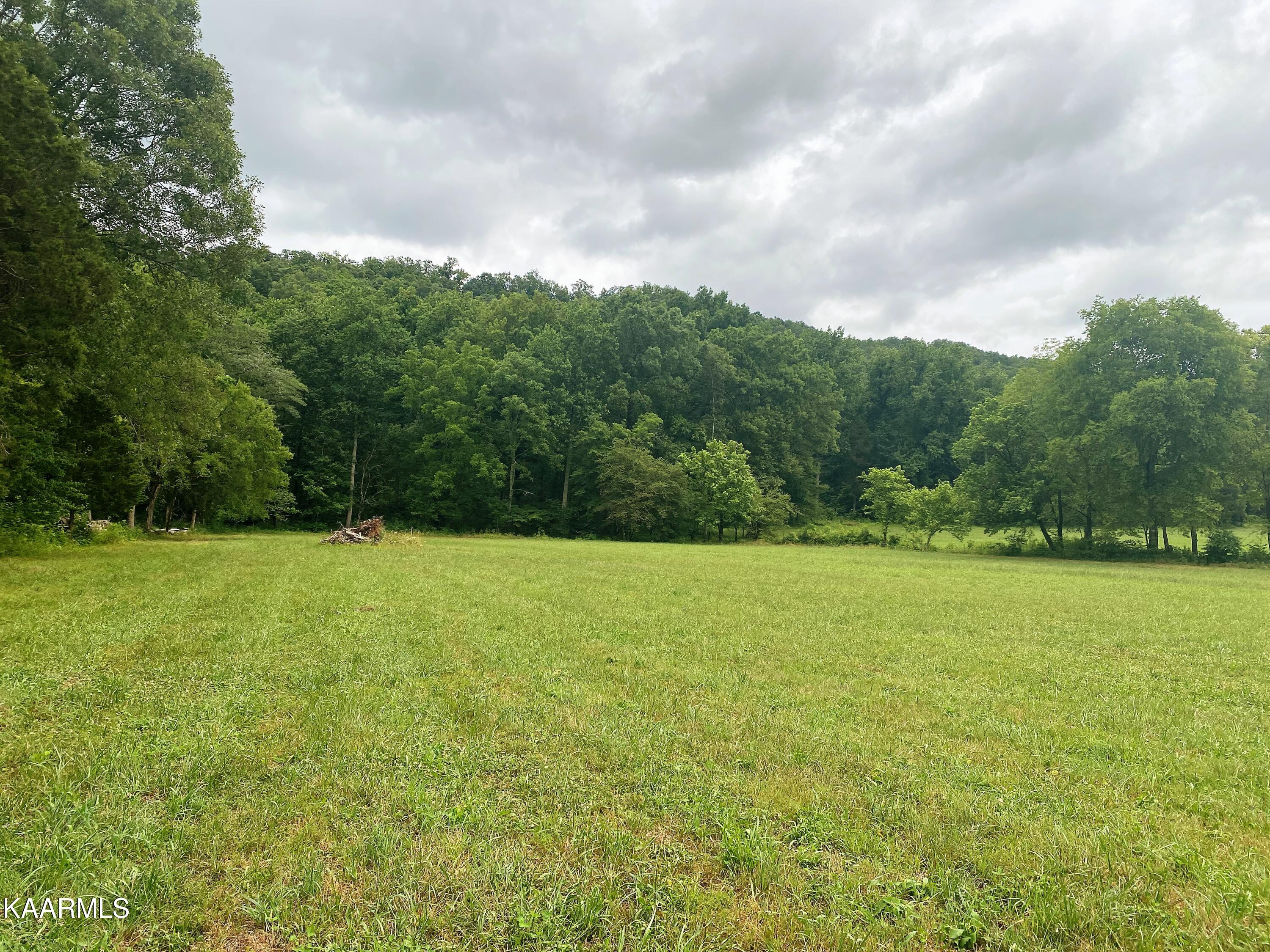 601 Paint Rock Valley Road Philadelphia, TN 37846 - Photo 35 of 43 IMG_0360
