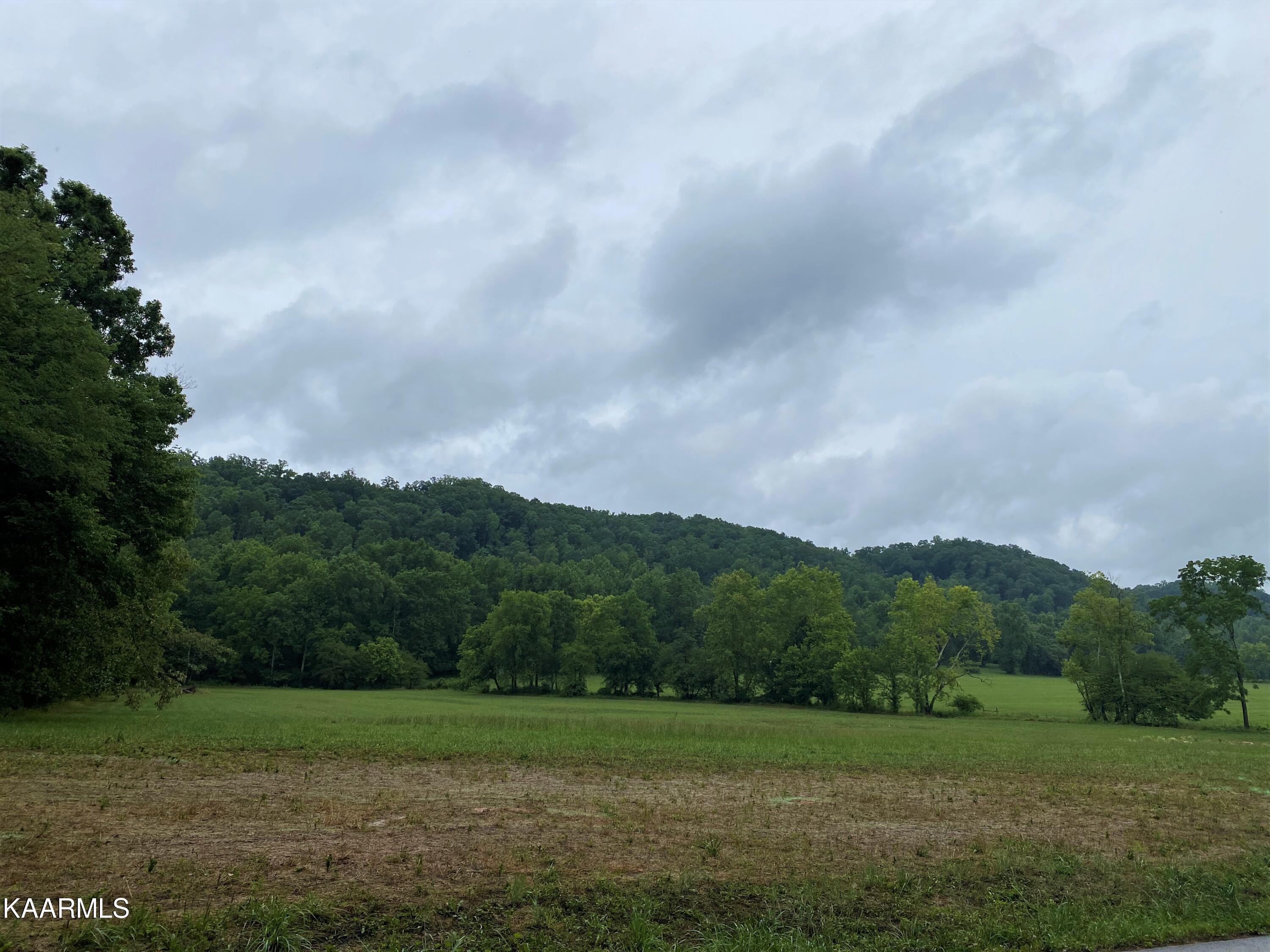 601 Paint Rock Valley Road Philadelphia, TN 37846 - Photo 37 of 43 IMG_0325