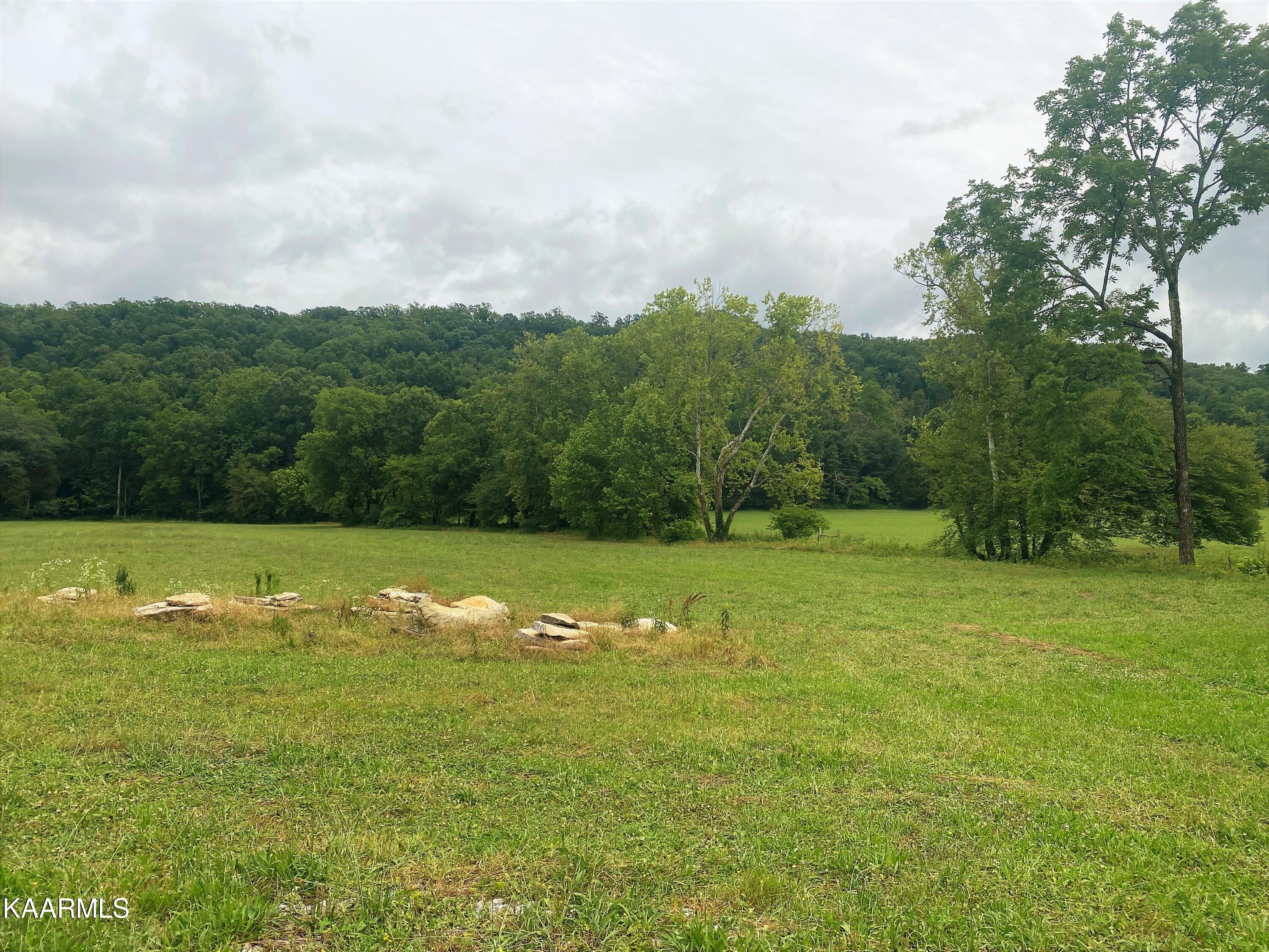 601 Paint Rock Valley Road Philadelphia, TN 37846 - Photo 5 of 43 IMG_0330