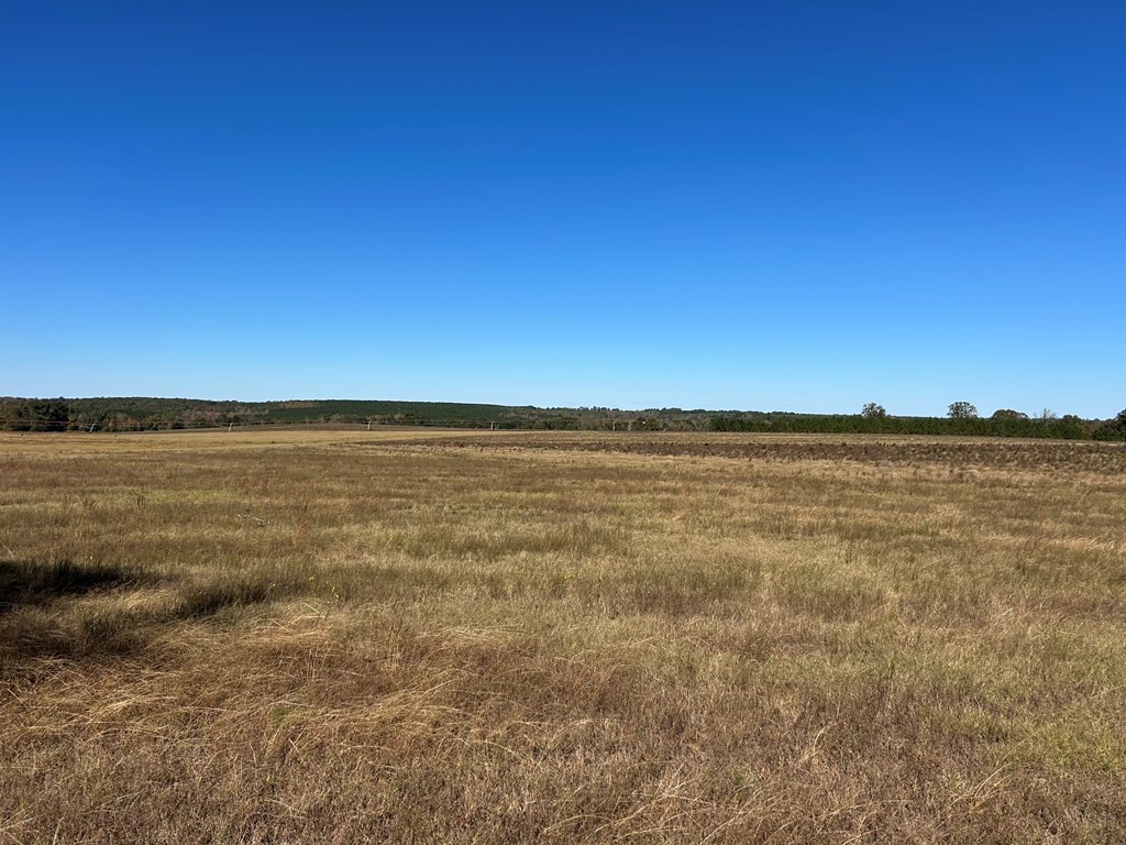 62/ Cty Road Coleman, GA 39836 - Photo 16 of 58