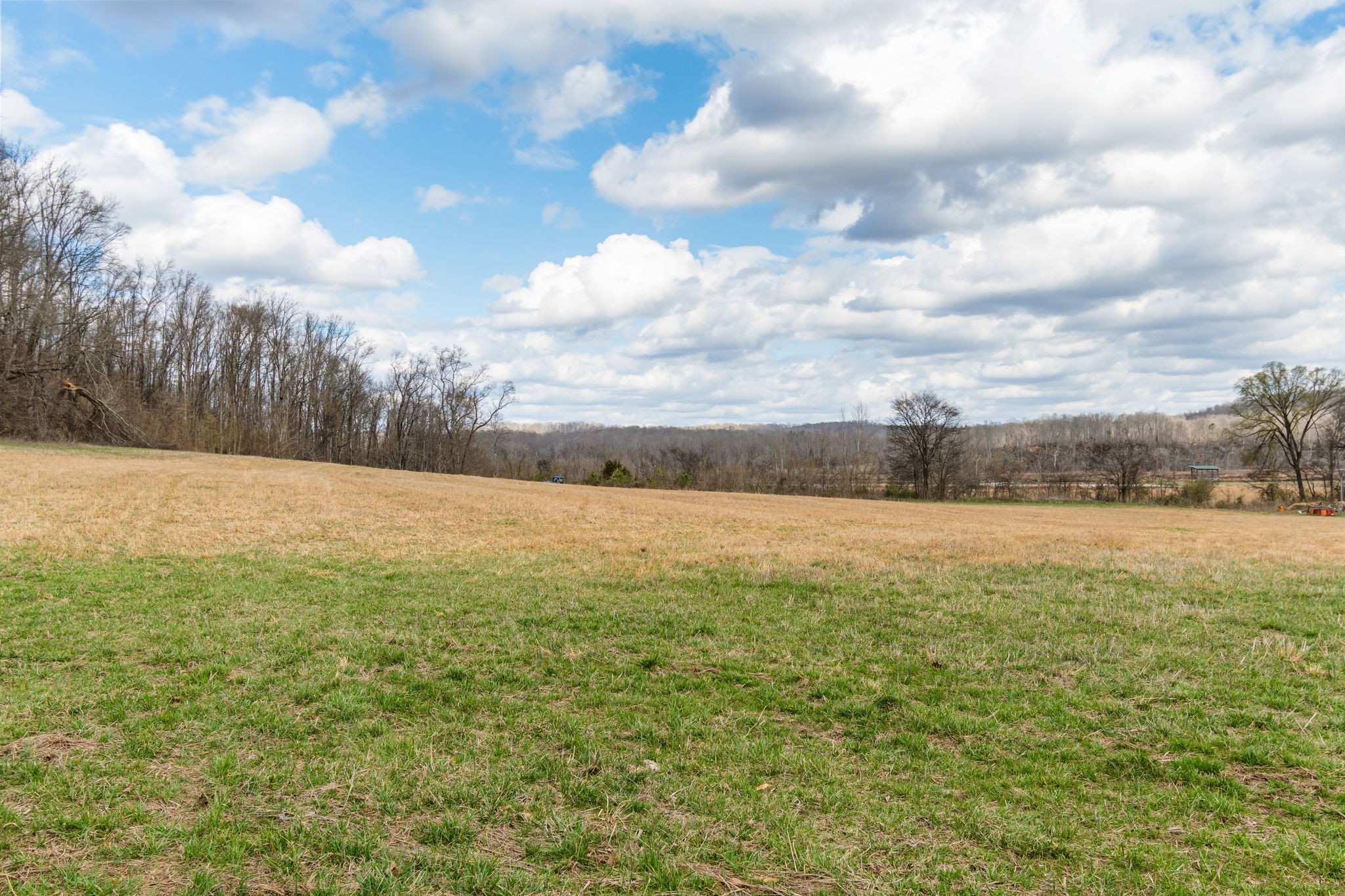 3301 Natural Bridge Road Waynesboro, TN 38485 - Photo 22 of 66 Gallery Image 22