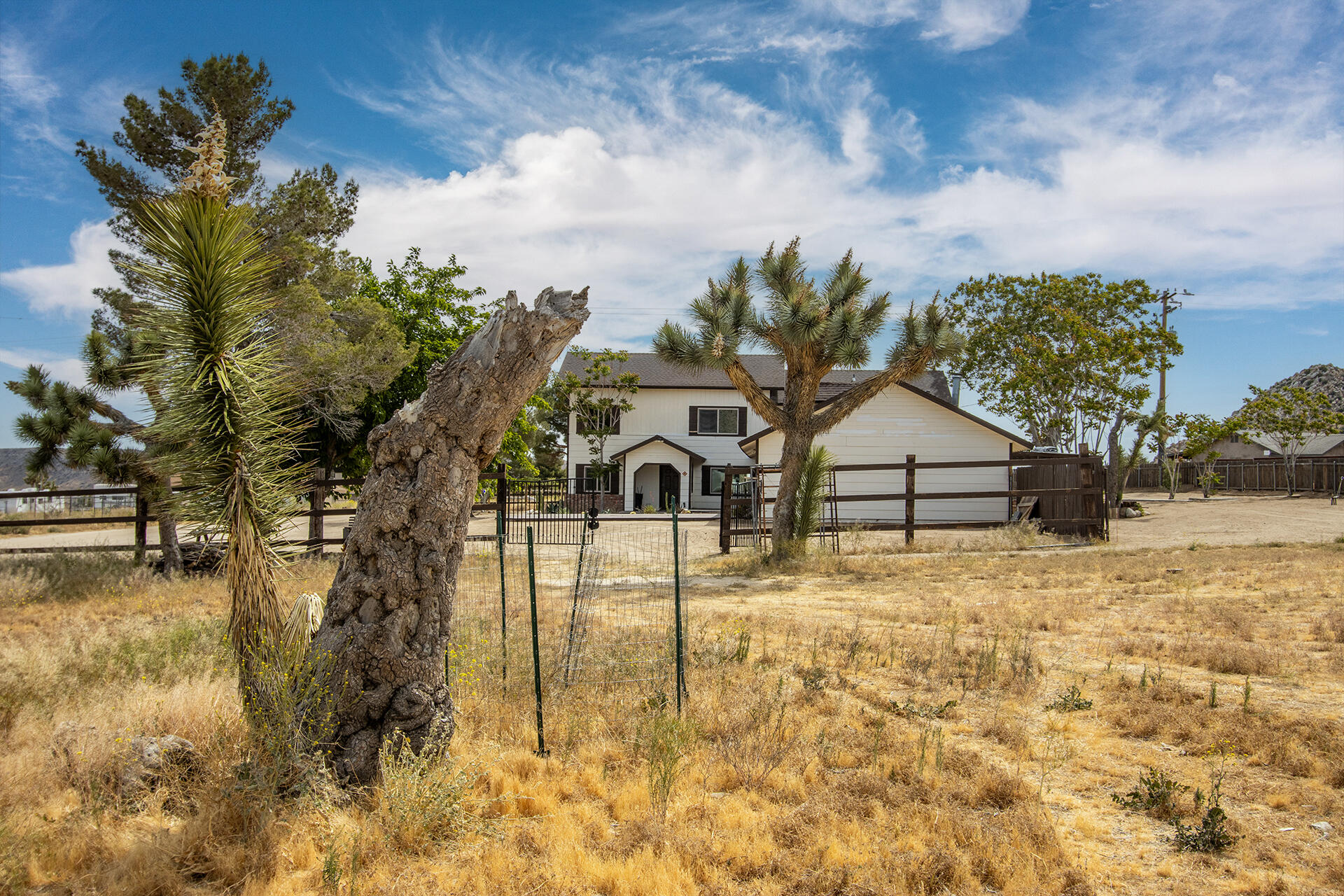 5523 Tom Mix Road Pioneertown, CA 92268 - Photo 8 of 74 img-15