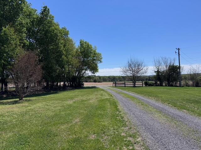 14137 Cedar Run Road Culpeper, VA 22701 - Photo 10 of 30 10