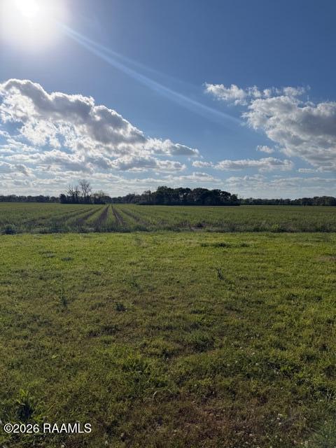 9728 Dudley Road Erath, LA 70533 - Photo 11 of 11 IMG_8814