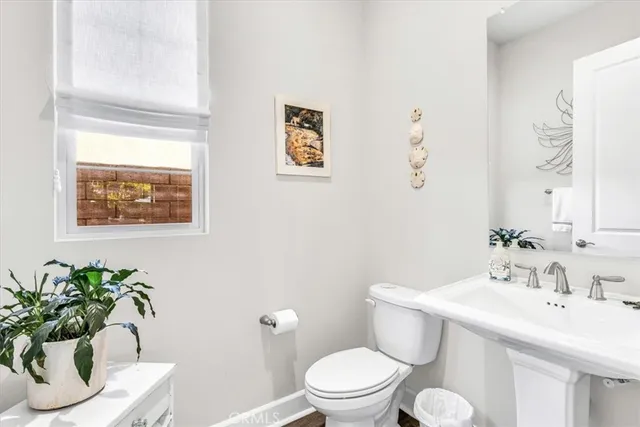 a view of pool with large trees and flower plants and large trees