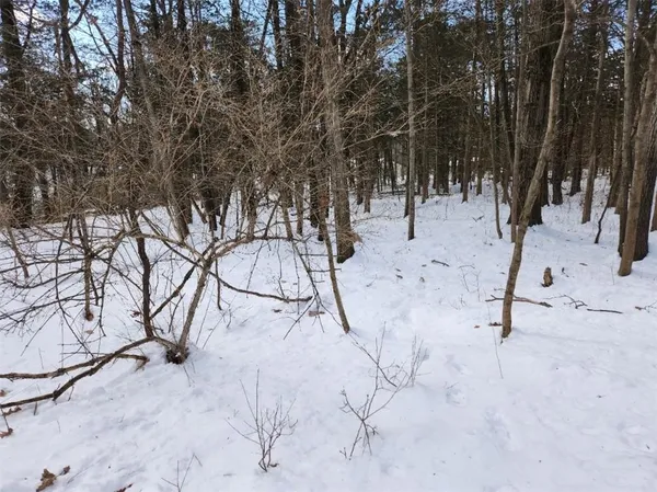 $85,000 | Shaw Road, Blooming Grove, NY 10914