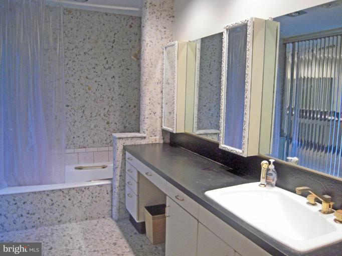 13801 Hess Mill Road Phoenix, MD 21131 - Photo 17 of 20 Master Bath