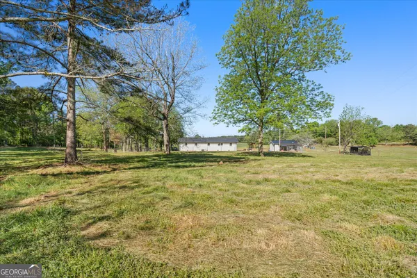a view of yard with tree