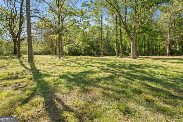 a view of a yard with a trees