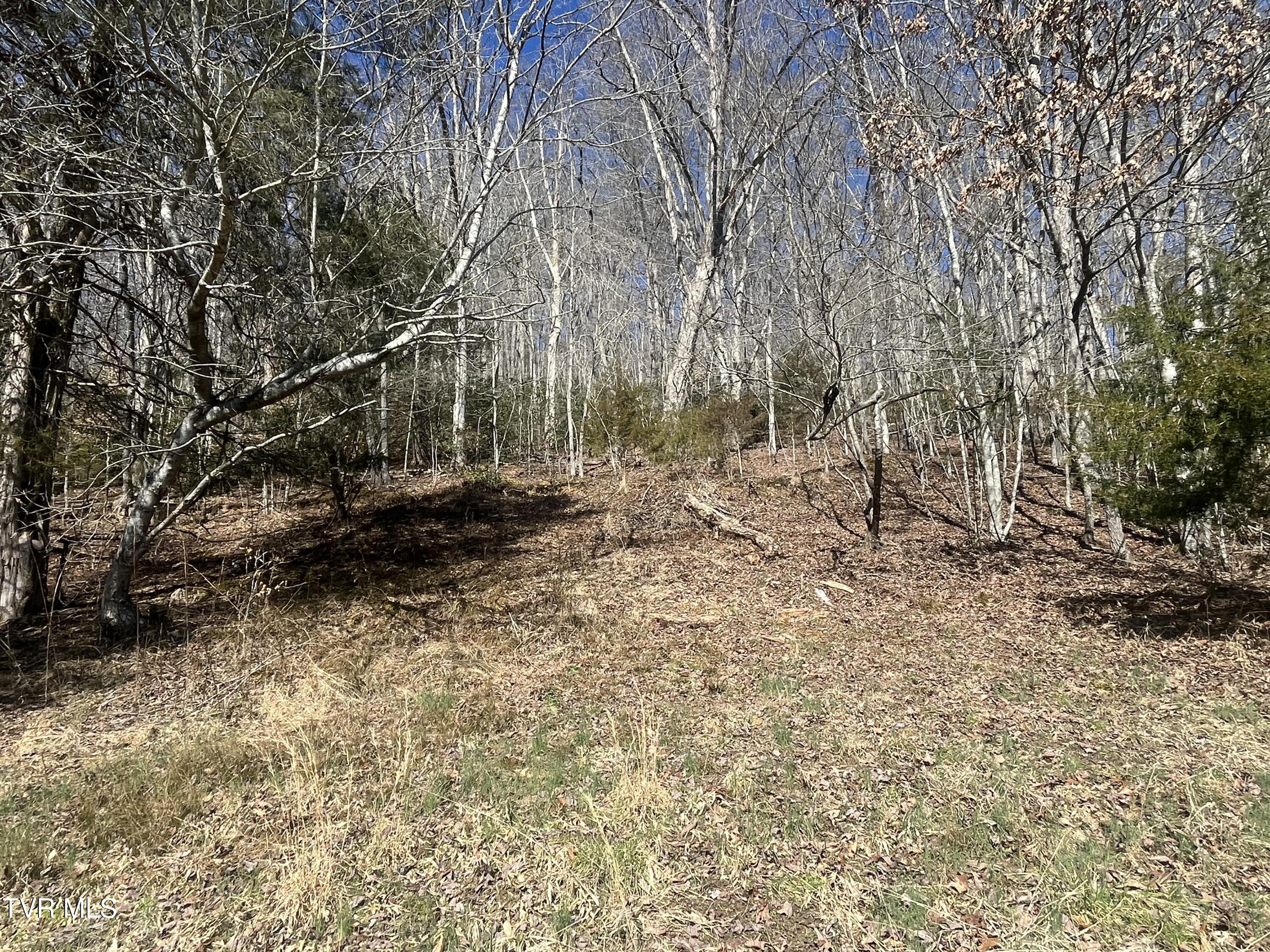 168 Osborne Ridge Road, Unit 8TR2B Dungannon, VA 24245 - Photo 11 of 25 IMG_0409
