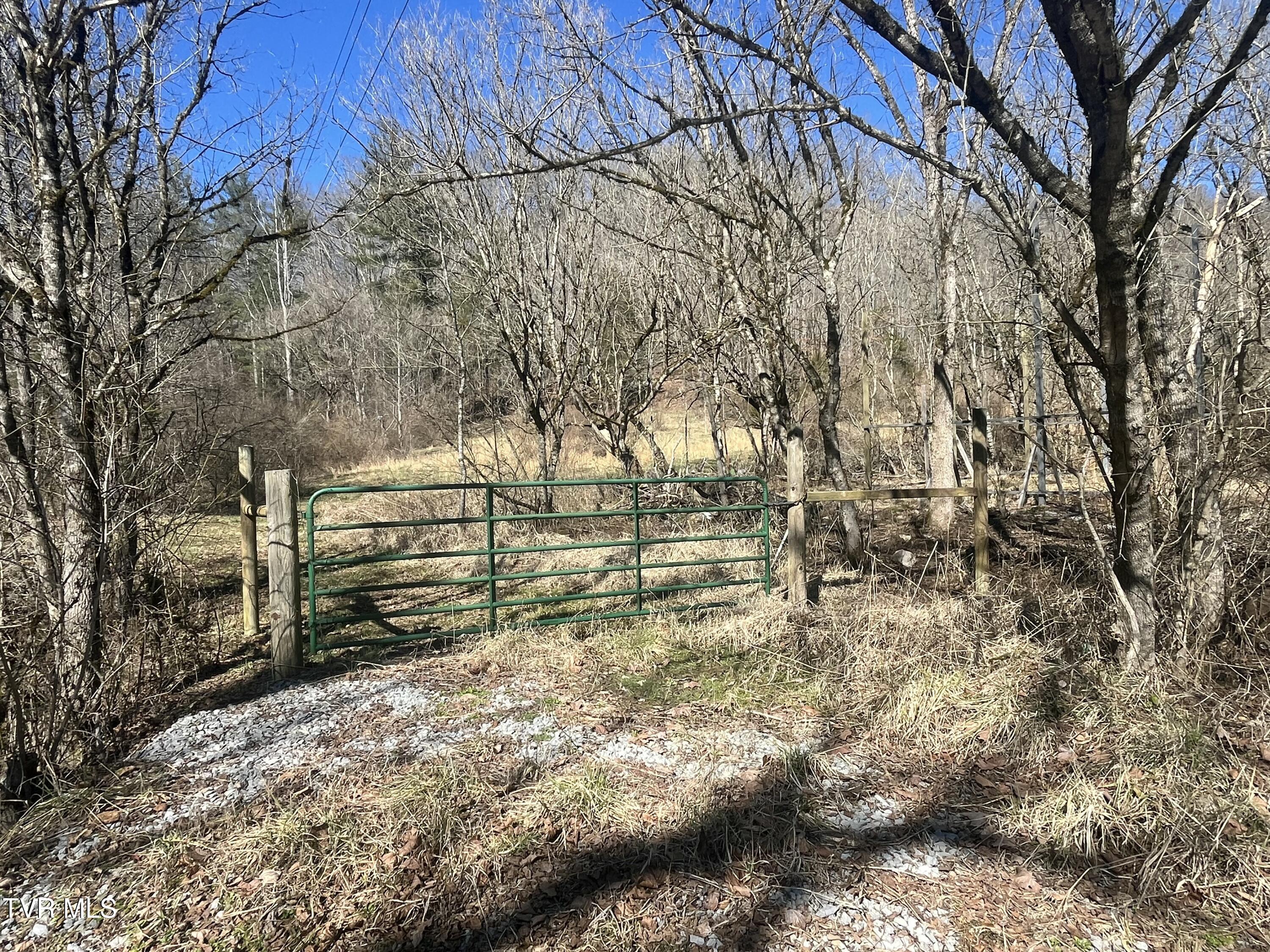 168 Osborne Ridge Road, Unit 8TR2B Dungannon, VA 24245 - Photo 13 of 25 IMG_0403