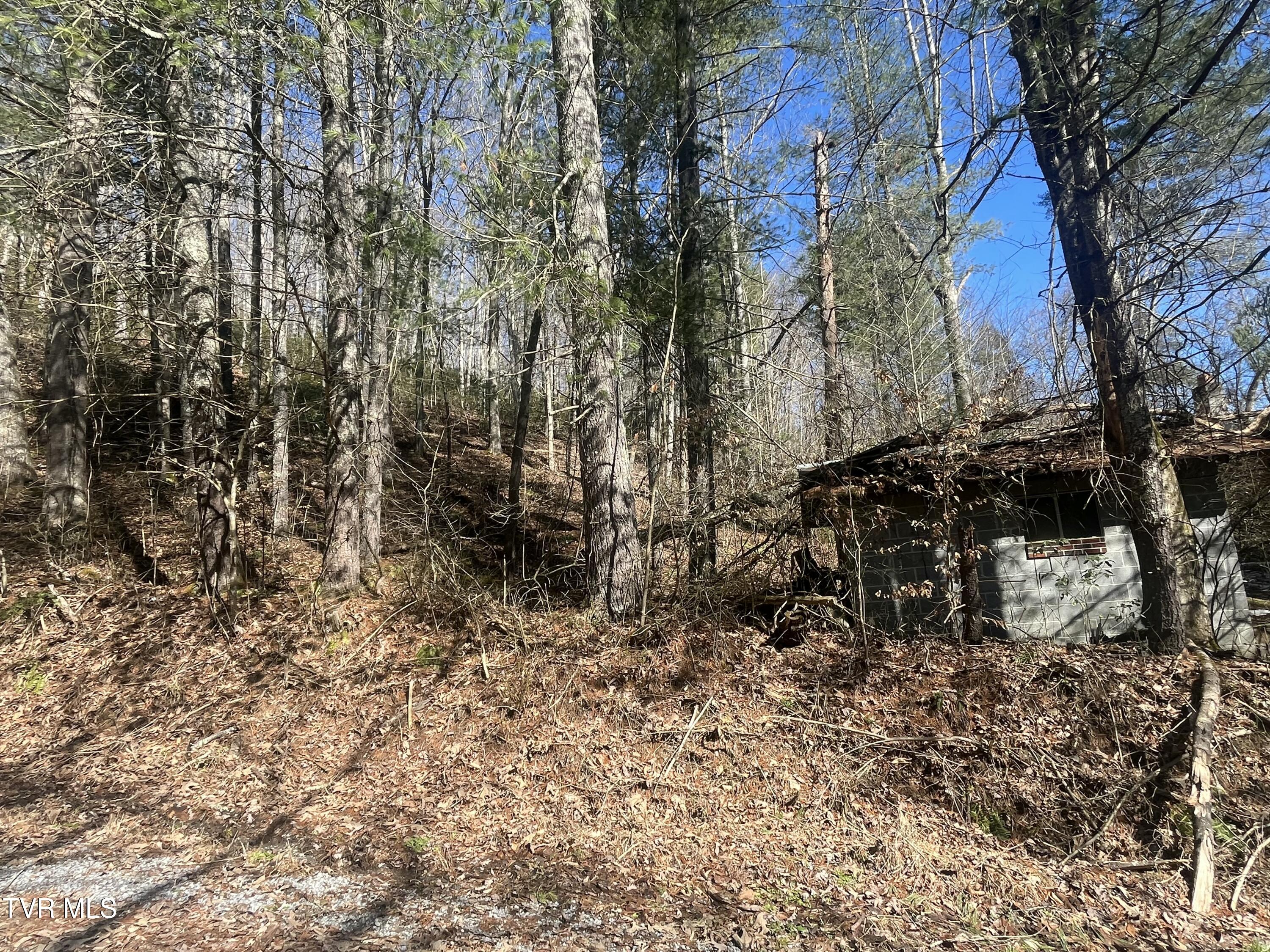 168 Osborne Ridge Road, Unit 8TR2B Dungannon, VA 24245 - Photo 18 of 25 IMG_0395