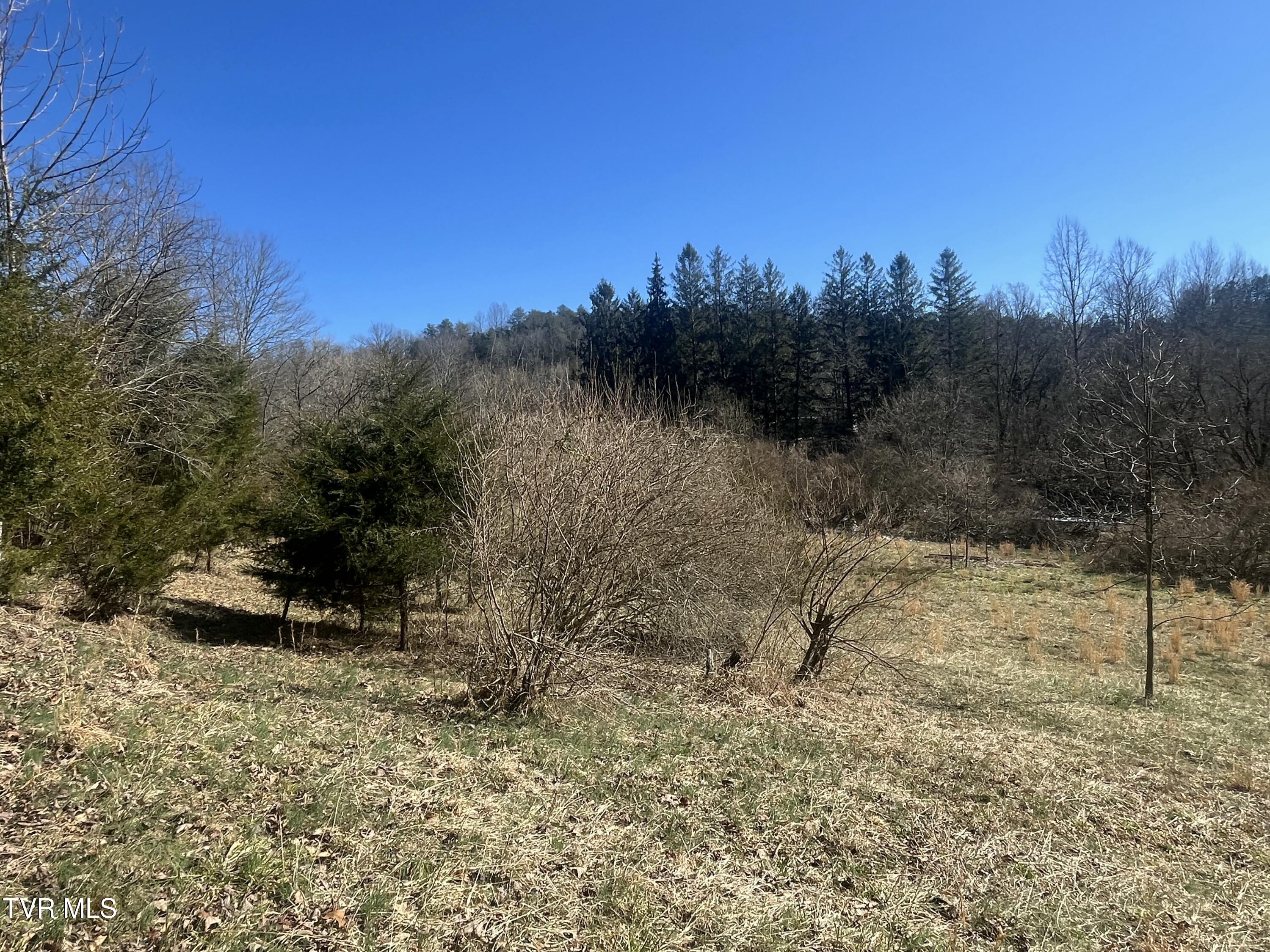 168 Osborne Ridge Road, Unit 8TR2B Dungannon, VA 24245 - Photo 2 of 25 IMG_0411