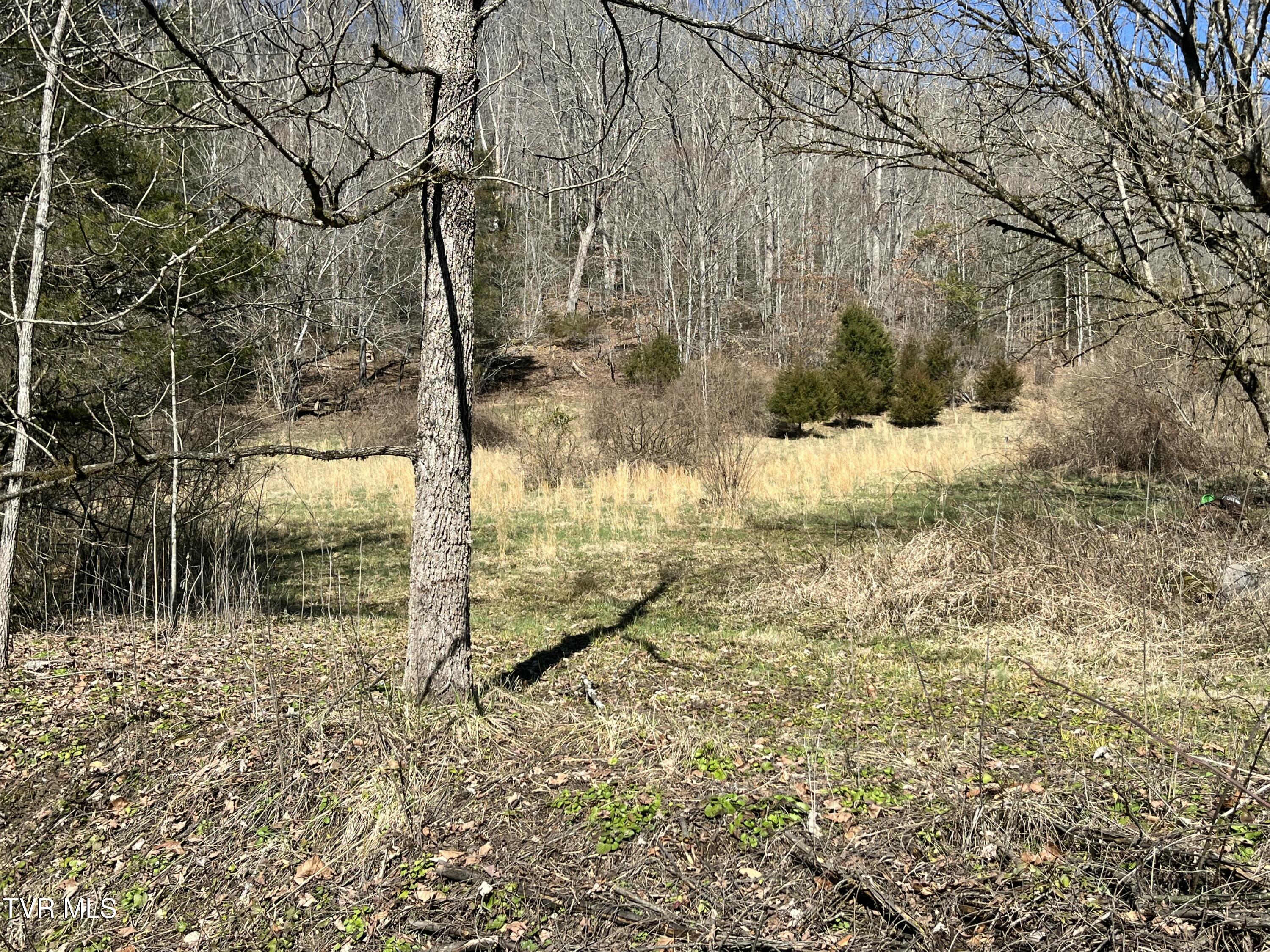 168 Osborne Ridge Road, Unit 8TR2B Dungannon, VA 24245 - Photo 10 of 25 IMG_0401