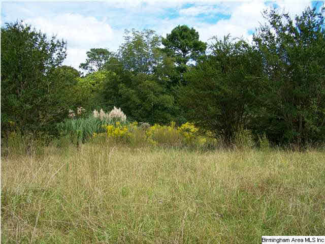 2231 Camp Brownie Road, Unit 5 AC Sylacauga, AL 35151 - Photo 8 of 15