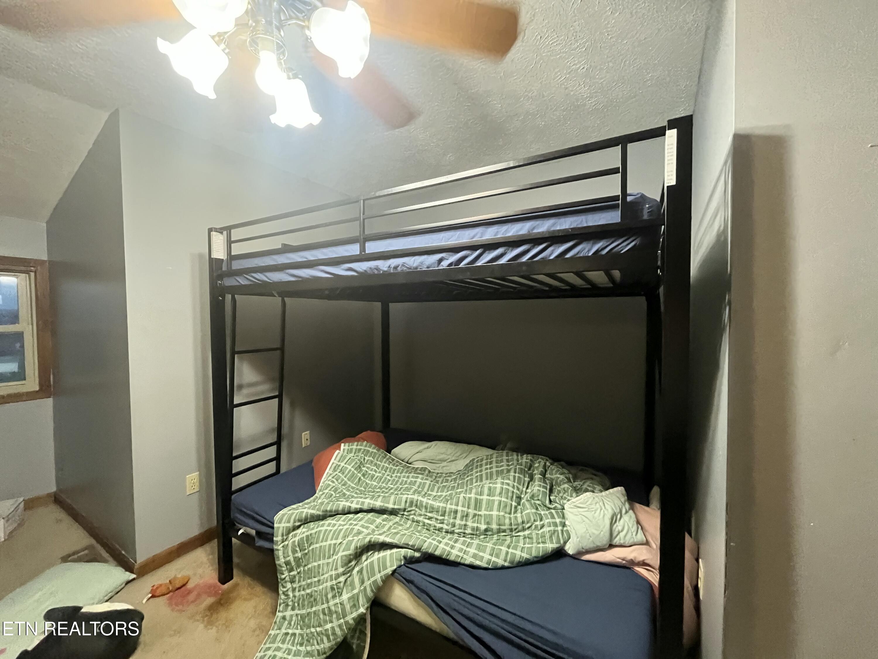 397 Whitaker Lane Tazewell, TN 37879 - Photo 42 of 46 IMG_5338