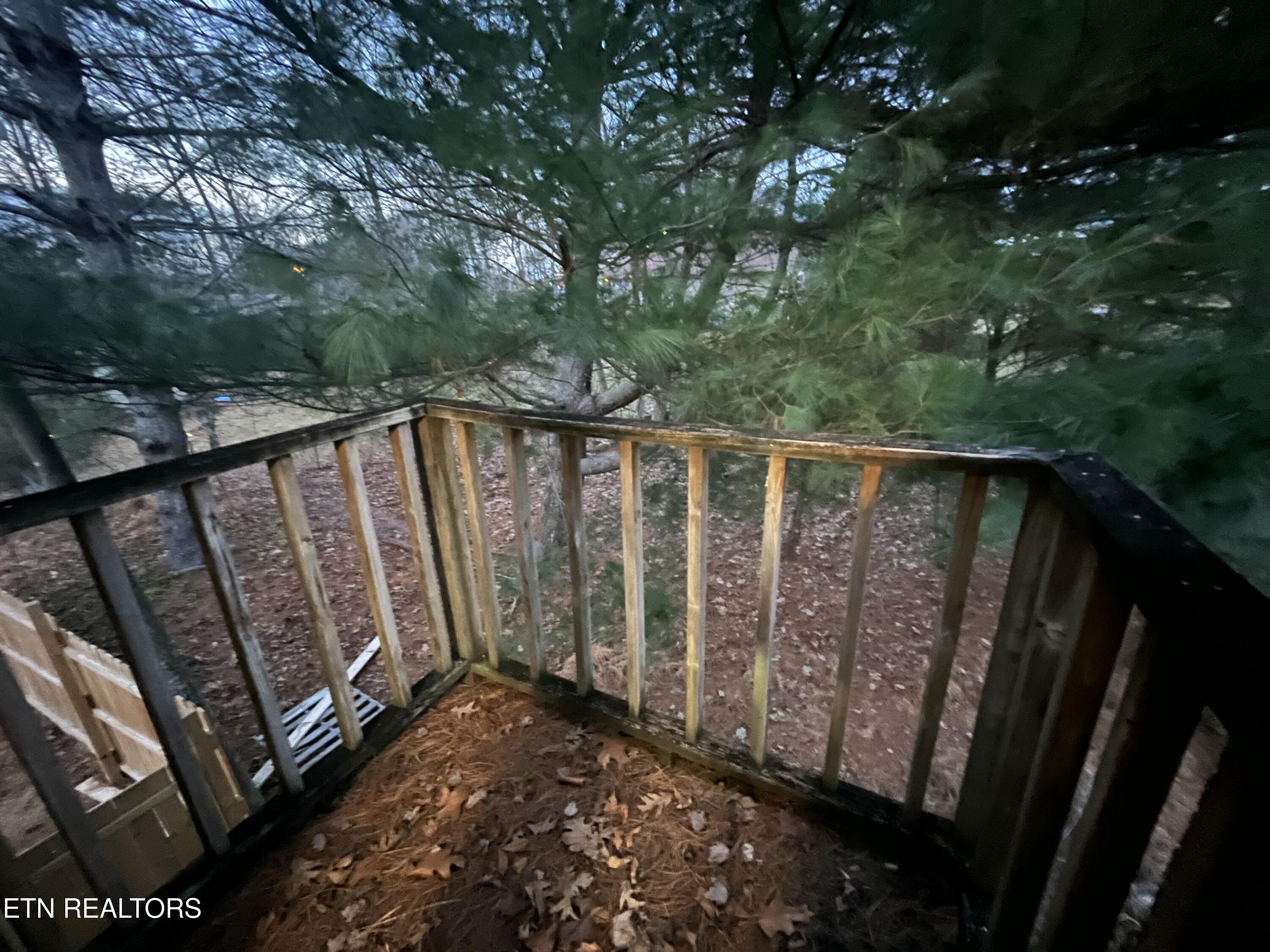 397 Whitaker Lane Tazewell, TN 37879 - Photo 45 of 46 IMG_5343