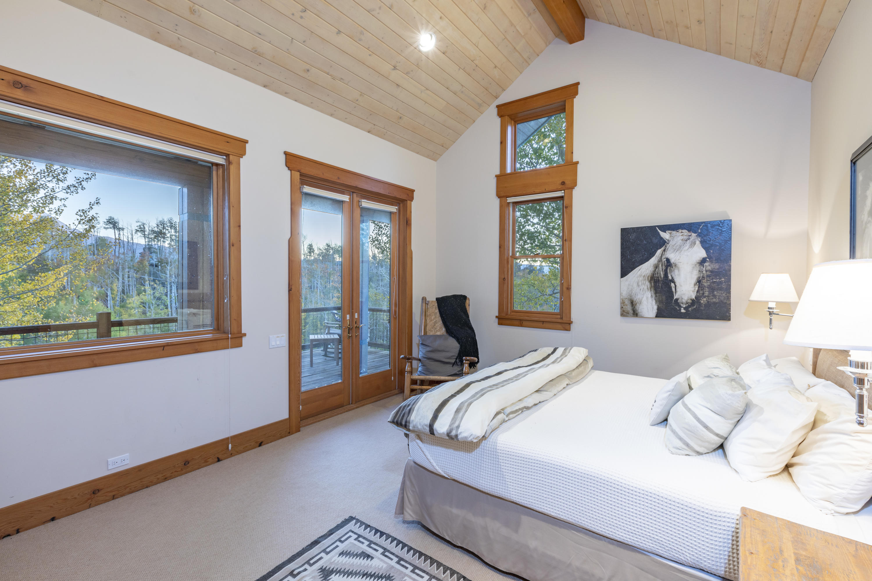 6800 County Road Telluride, CO 81435 - Photo 18 of 29 GMB