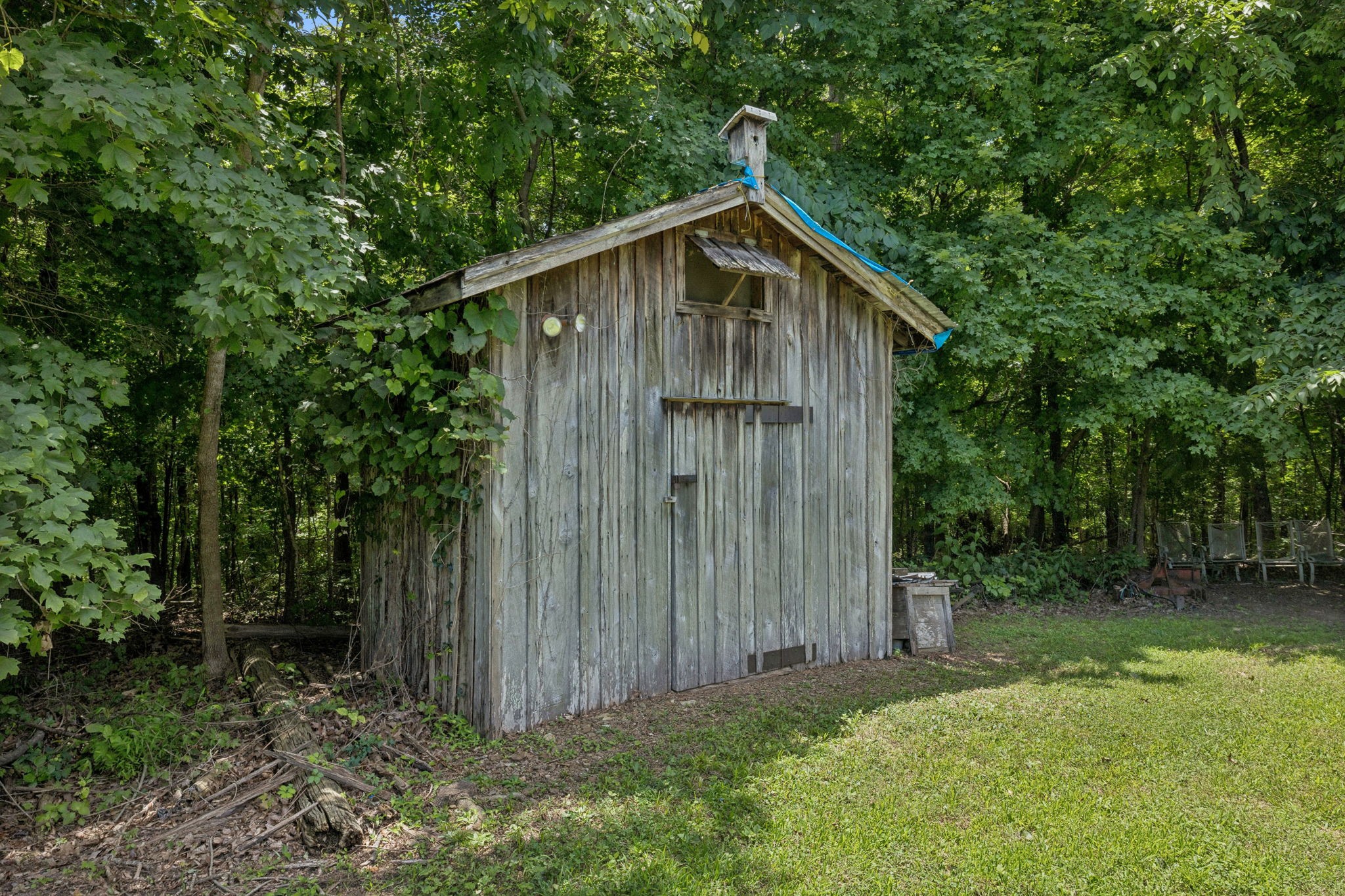 3485 Highway 47 Charlotte, TN 37036 - Photo 56 of 98