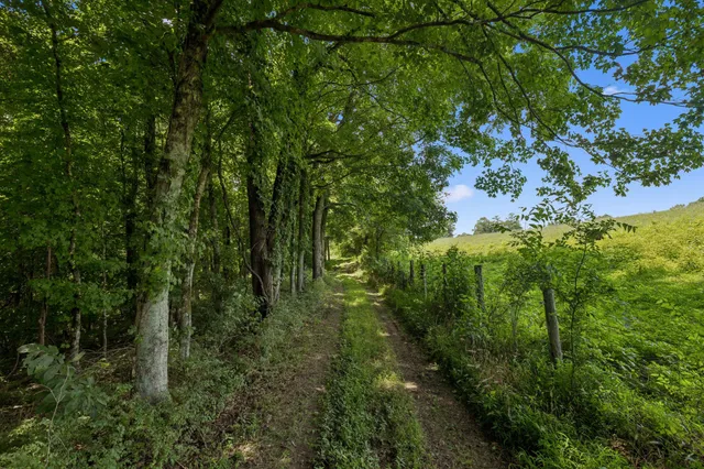 $2,995,000 | 3485 Highway 47, Charlotte, TN 37036