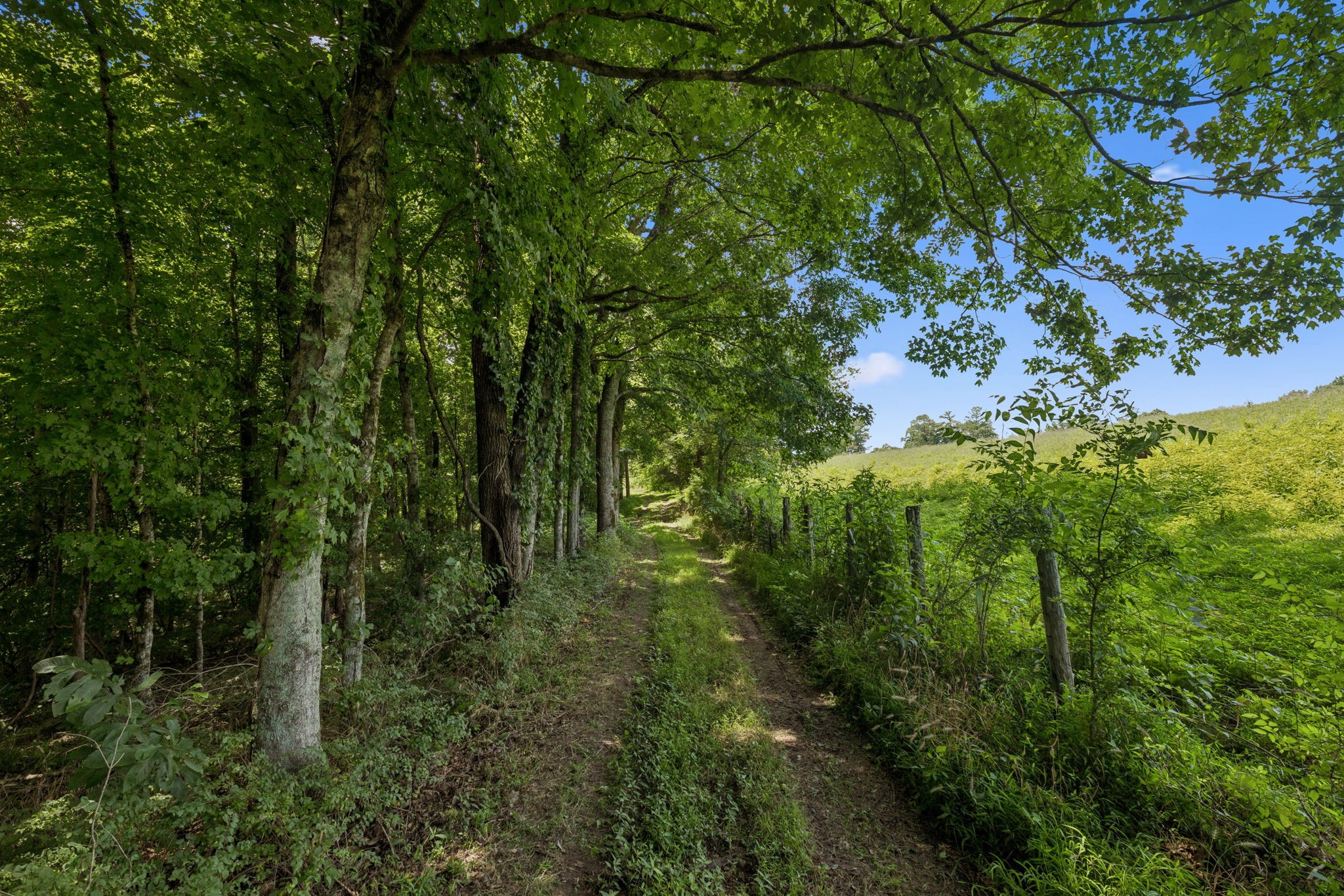 3485 Highway 47 Charlotte, TN 37036 - Photo 59 of 98