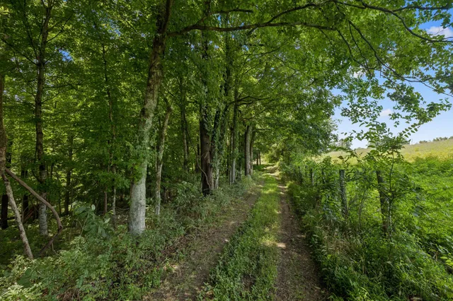 $2,995,000 | 3485 Highway 47, Charlotte, TN 37036