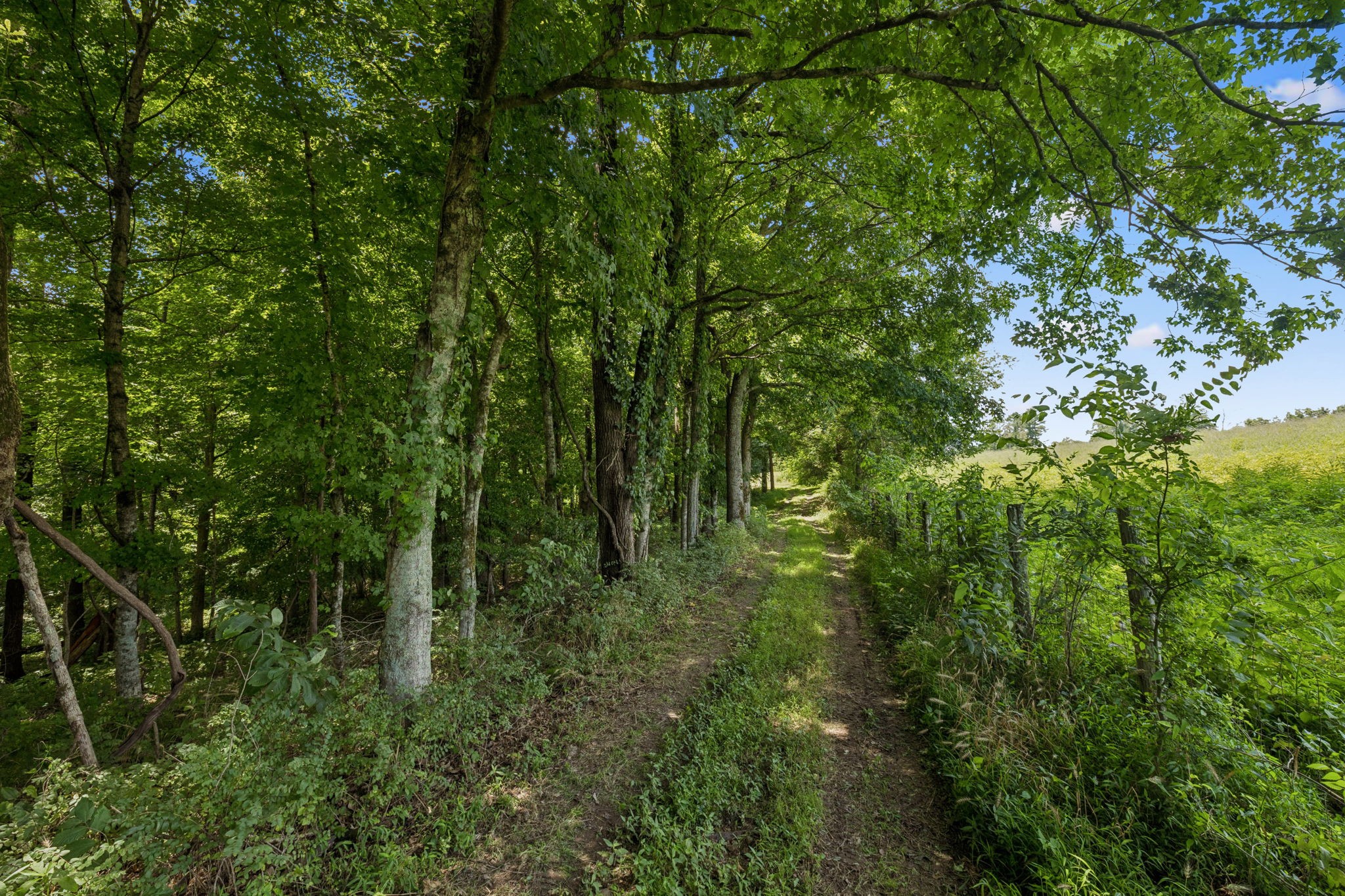 3485 Highway 47 Charlotte, TN 37036 - Photo 60 of 98