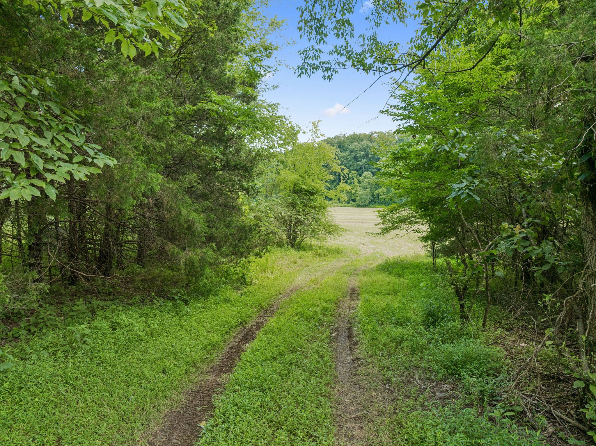 3485 Highway 47 Charlotte, TN 37036 - Photo 61 of 98