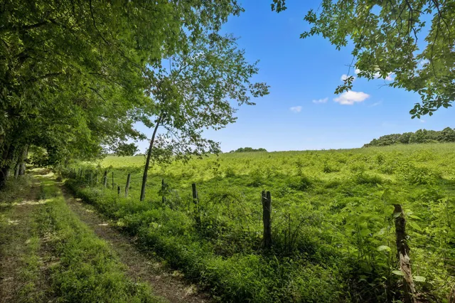 $2,995,000 | 3485 Highway 47, Charlotte, TN 37036