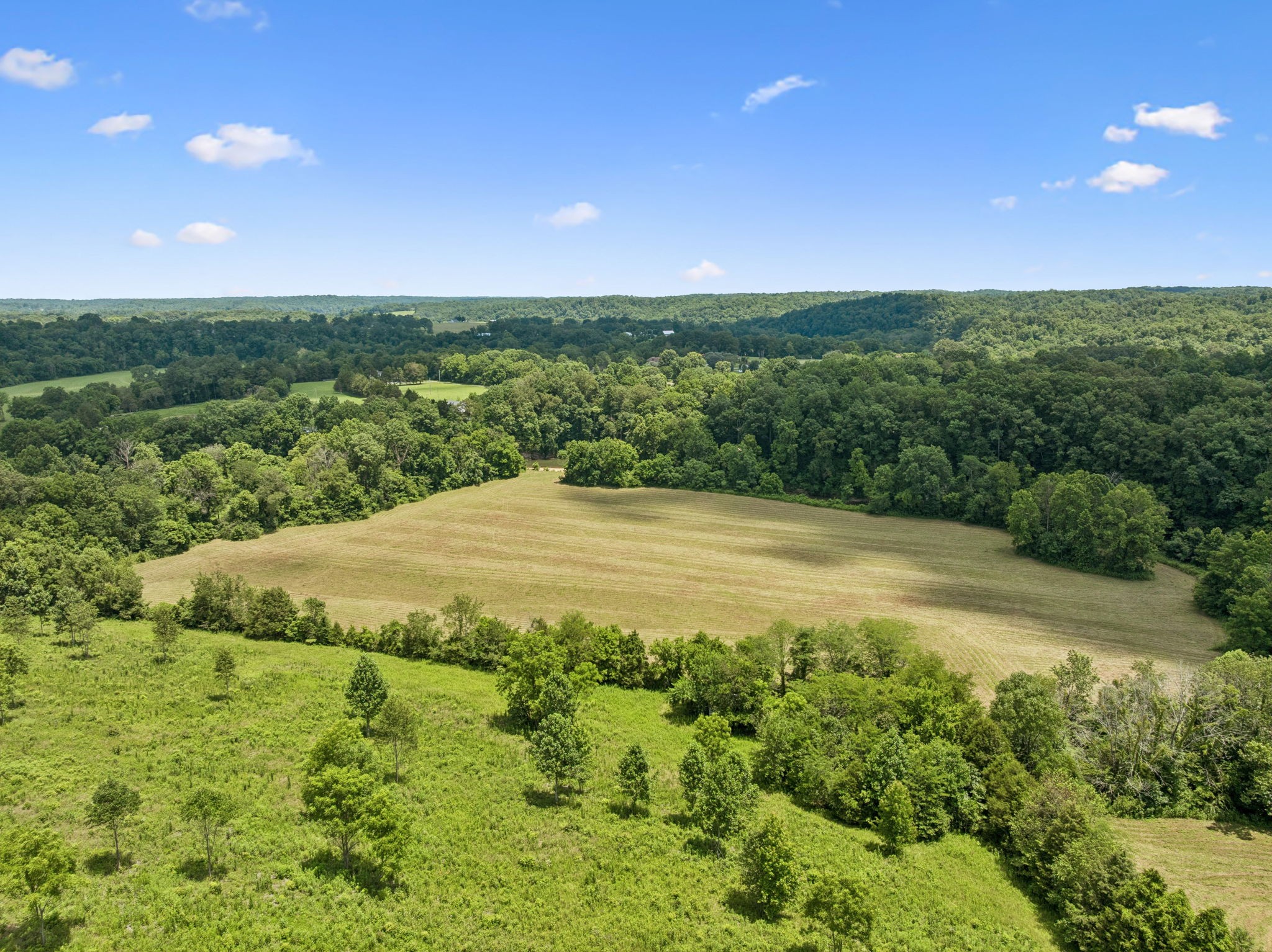 3485 Highway 47 Charlotte, TN 37036 - Photo 64 of 98