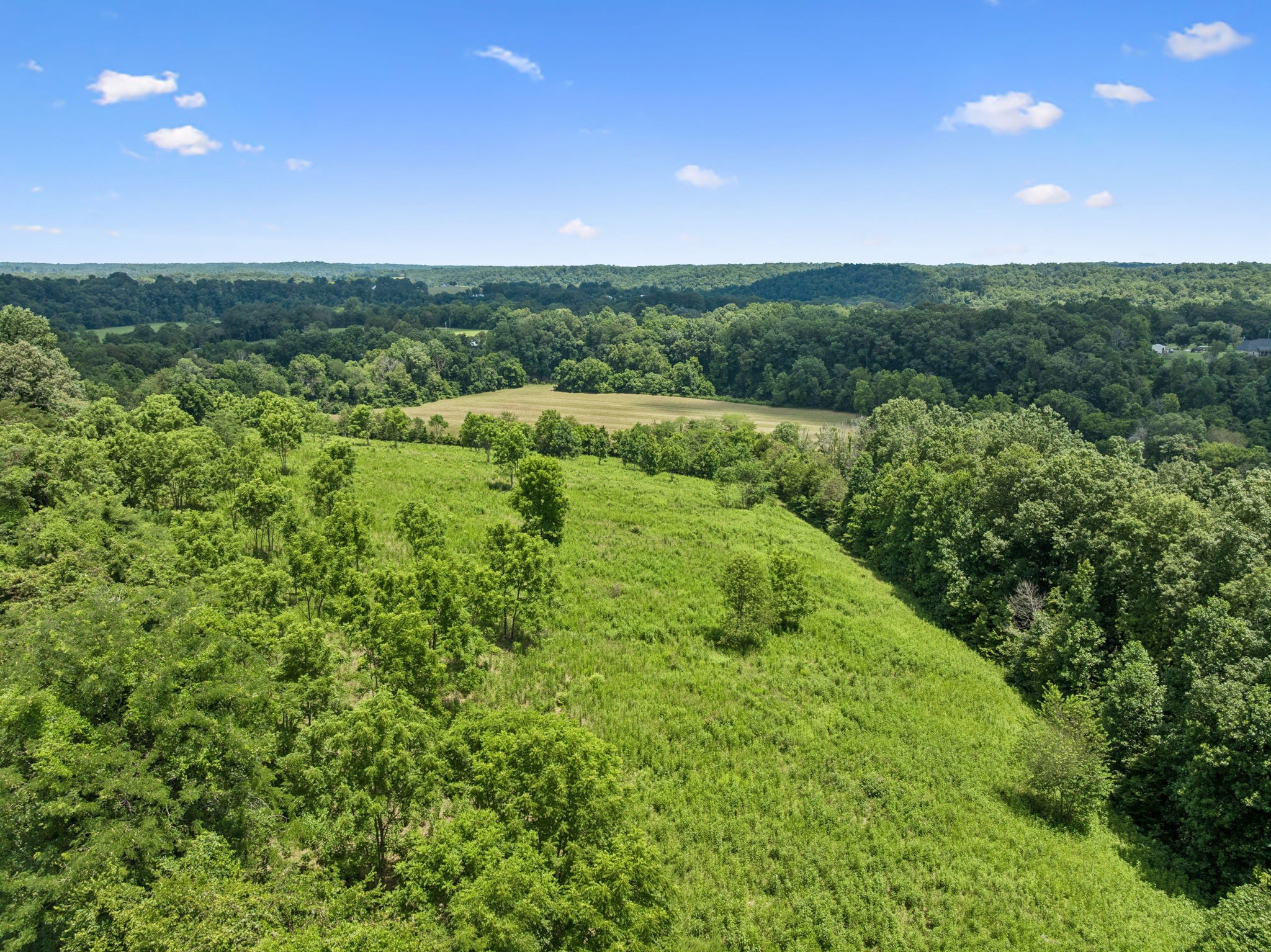 3485 Highway 47 Charlotte, TN 37036 - Photo 65 of 98