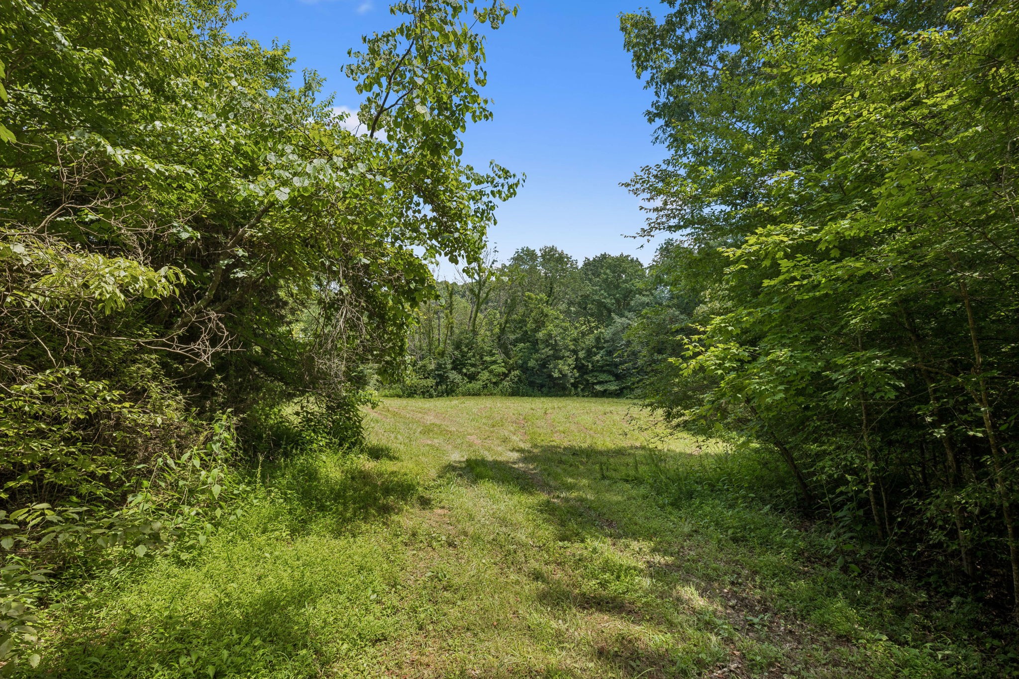 3485 Highway 47 Charlotte, TN 37036 - Photo 67 of 98