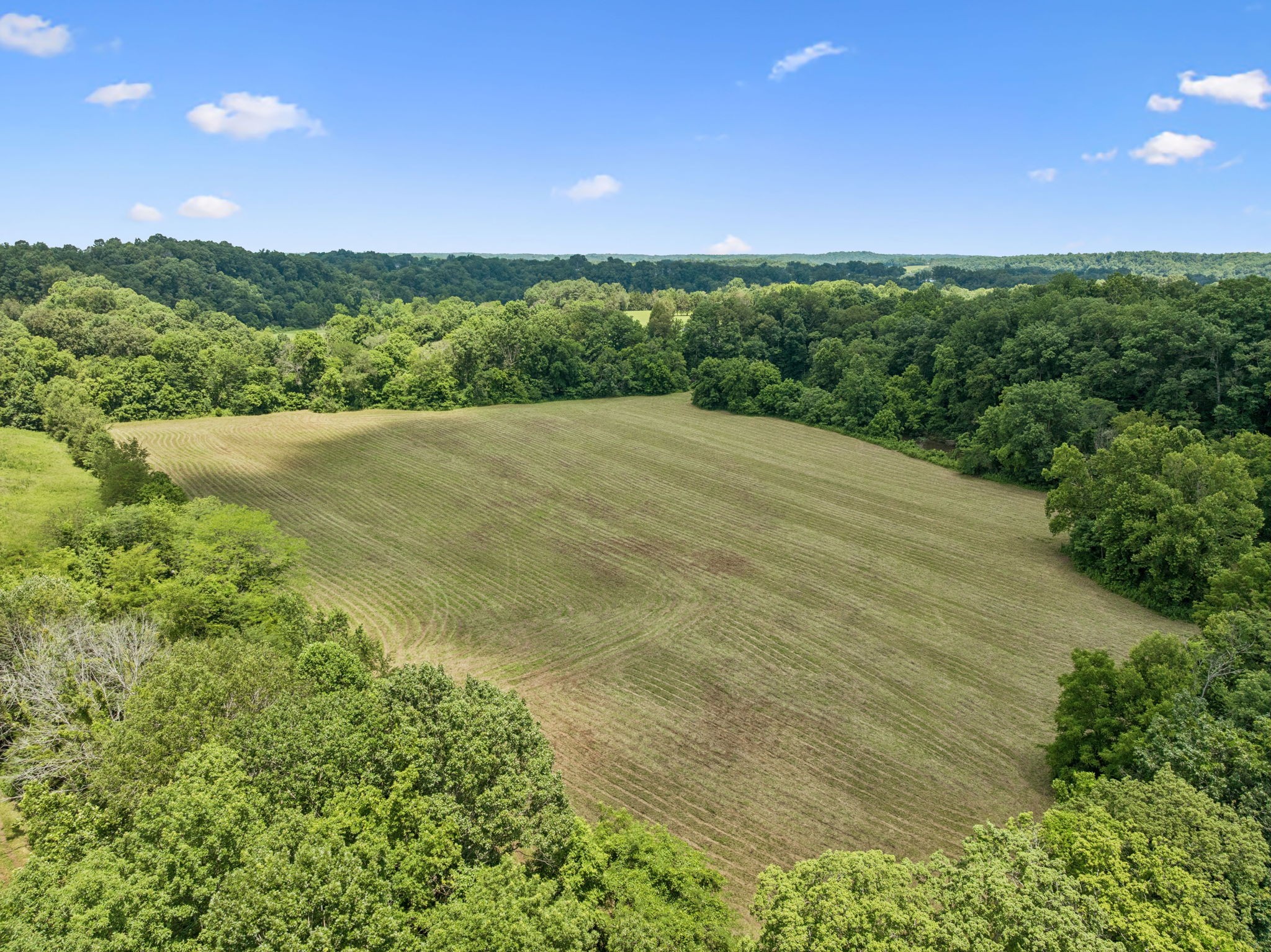 3485 Highway 47 Charlotte, TN 37036 - Photo 68 of 98