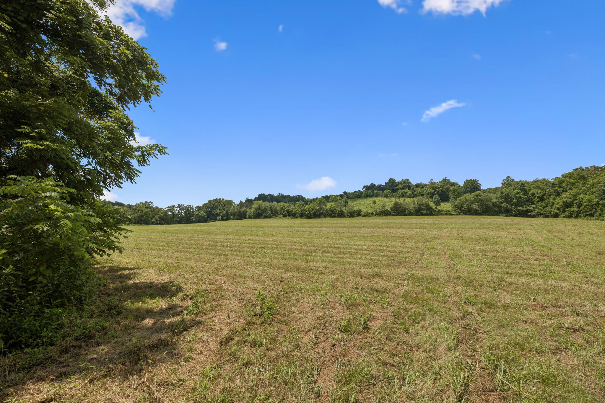 3485 Highway 47 Charlotte, TN 37036 - Photo 72 of 98