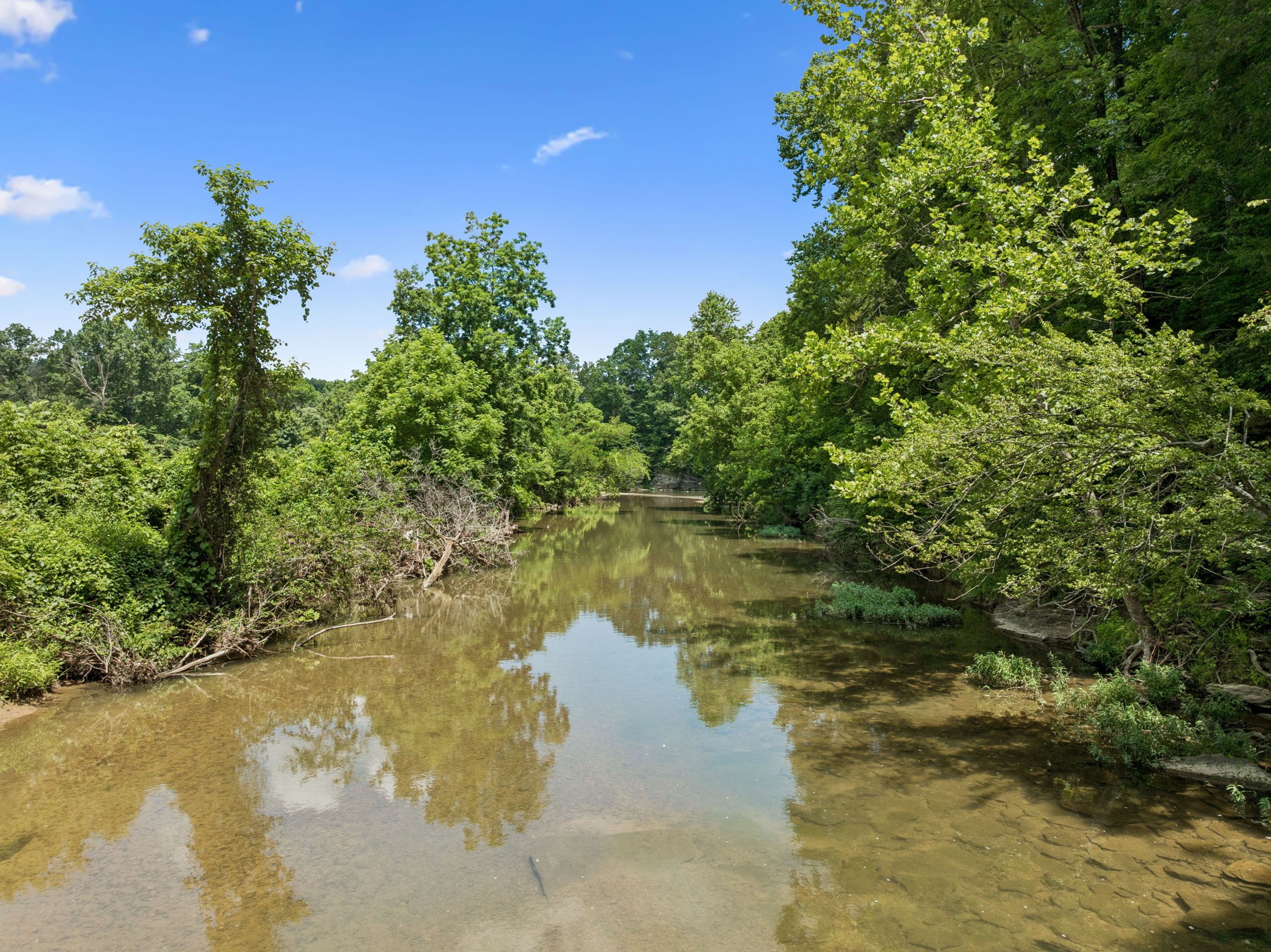 3485 Highway 47 Charlotte, TN 37036 - Photo 83 of 98