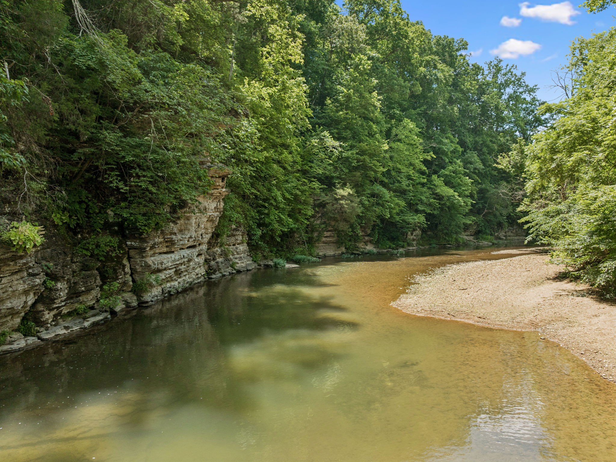 3485 Highway 47 Charlotte, TN 37036 - Photo 84 of 98