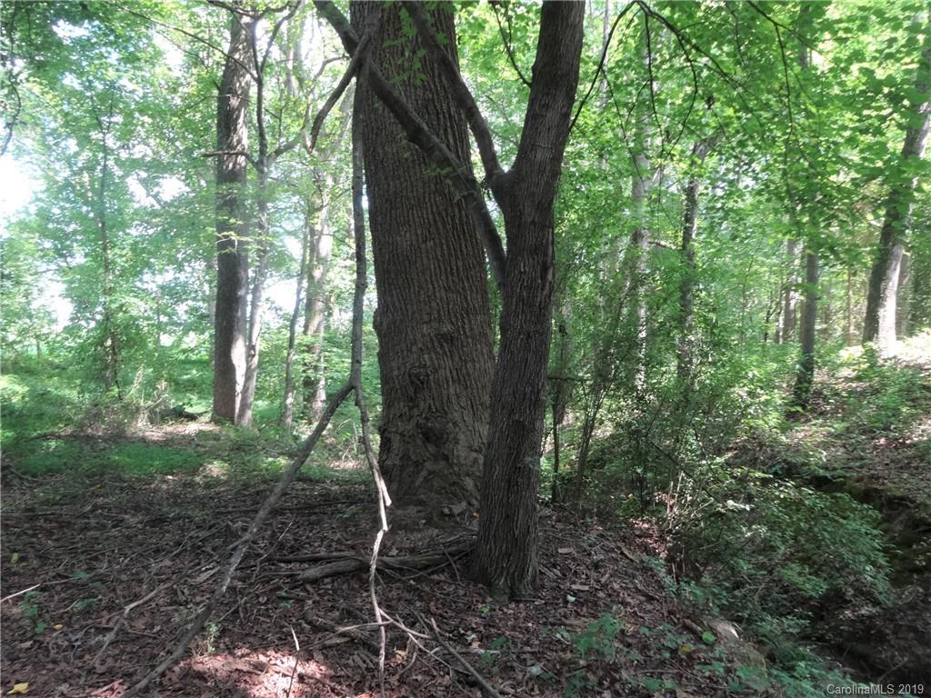 0 Allen Road Harmony, NC 28634 - Photo 13 of 17 a view of a forest