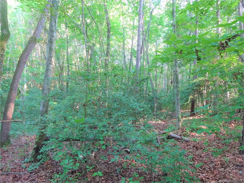 0 Allen Road Harmony, NC 28634 - Photo 10 of 17 a view of a lush green forest