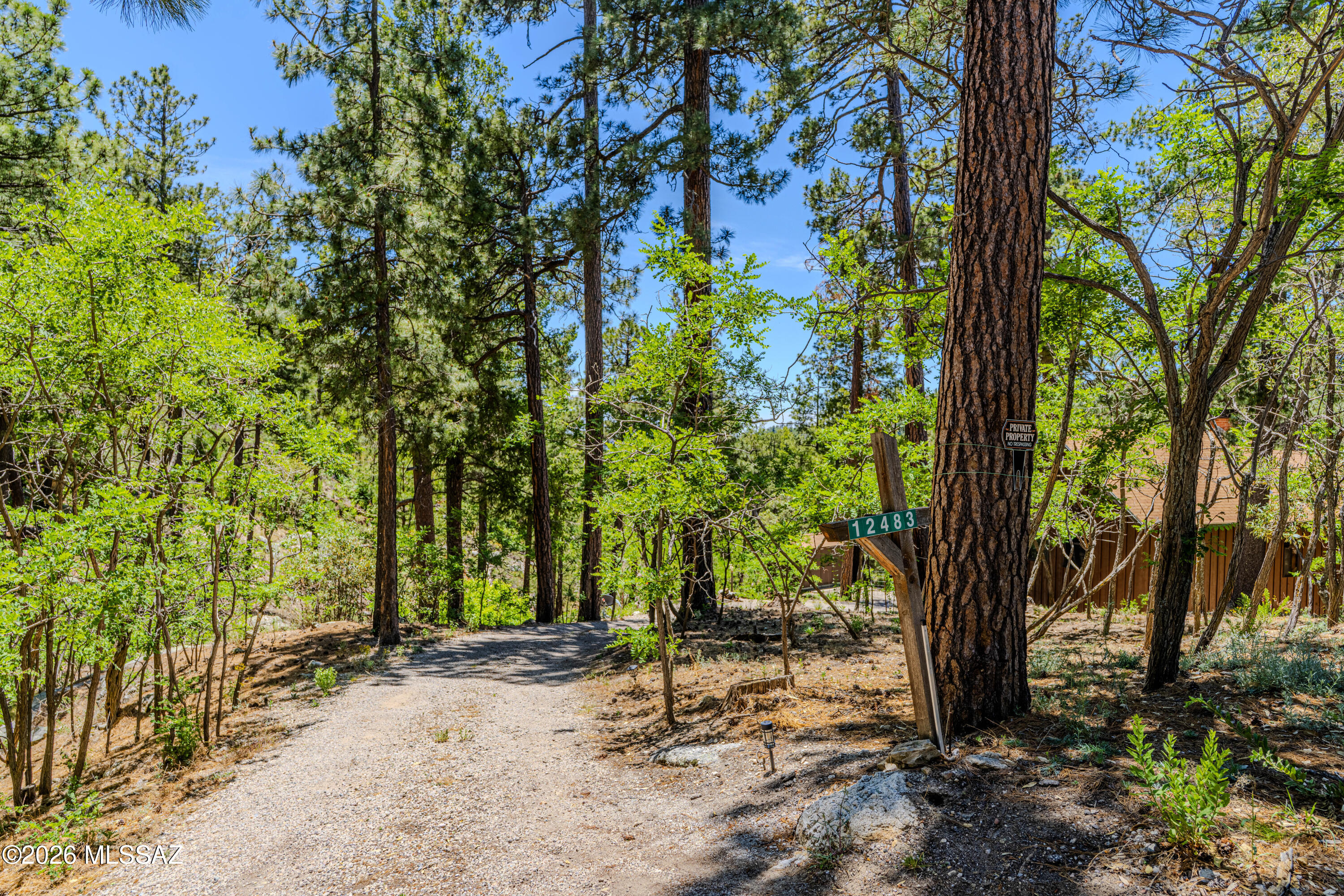 12483 North Middle Sabino Road Mount Lemmon, AZ 85619 - Photo 5 of 46