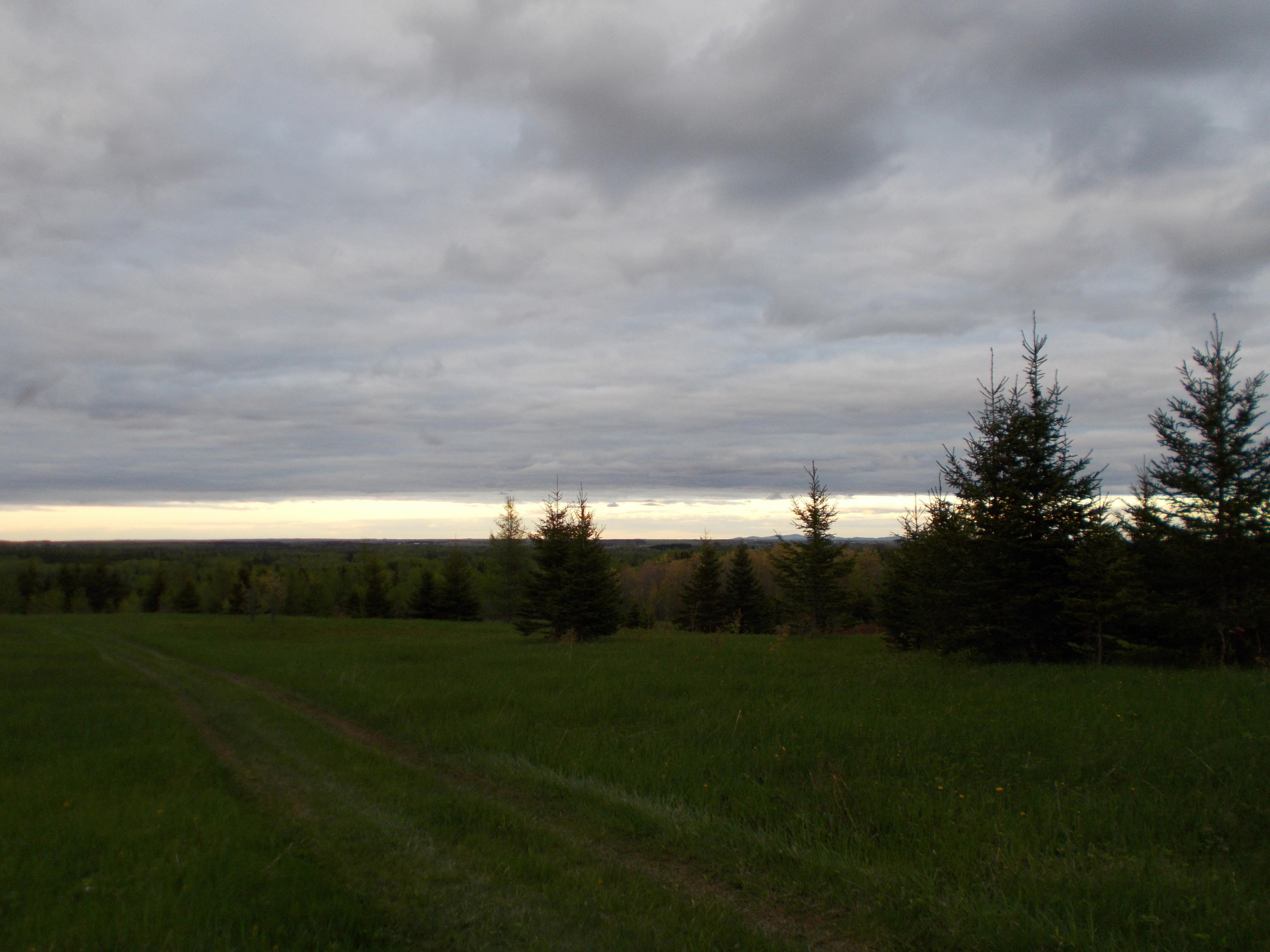 Lot 38 Rabbit Ridge Road Woodland, ME 04736 - Photo 3 of 5 DSCN6625