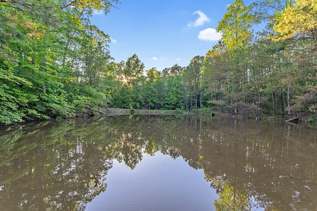 a view of a back yard